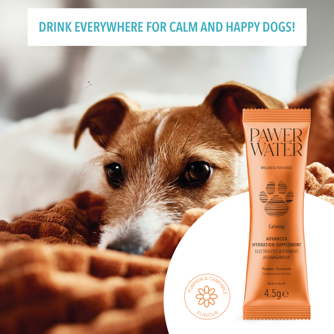 Pawer Water Calming (12 Sticks Pouch) | Shop Brit | UK Pet Shop | 