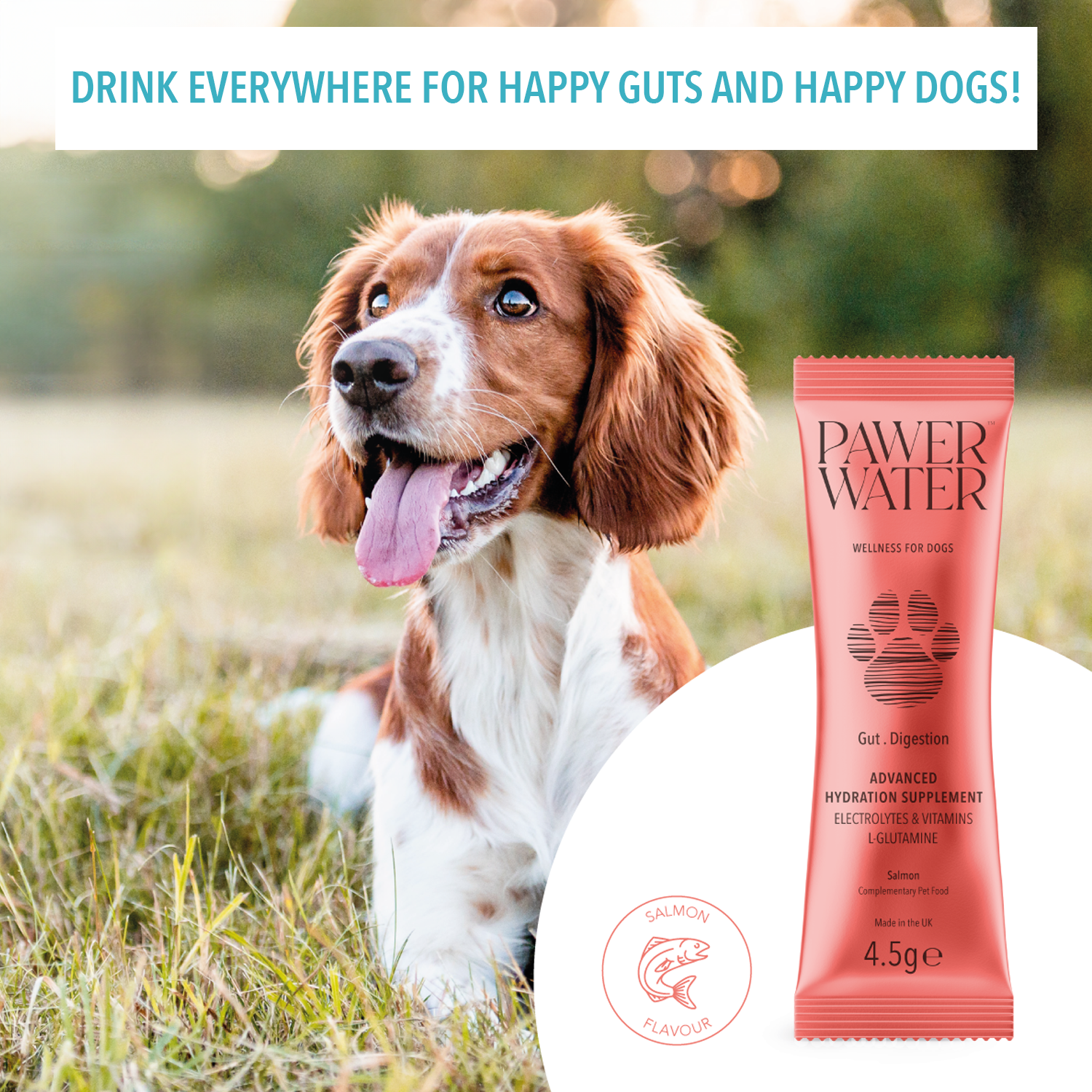 Pawer Water Gut Support (5-sticks Pouch) | Shop Brit | UK Pet Shop | 