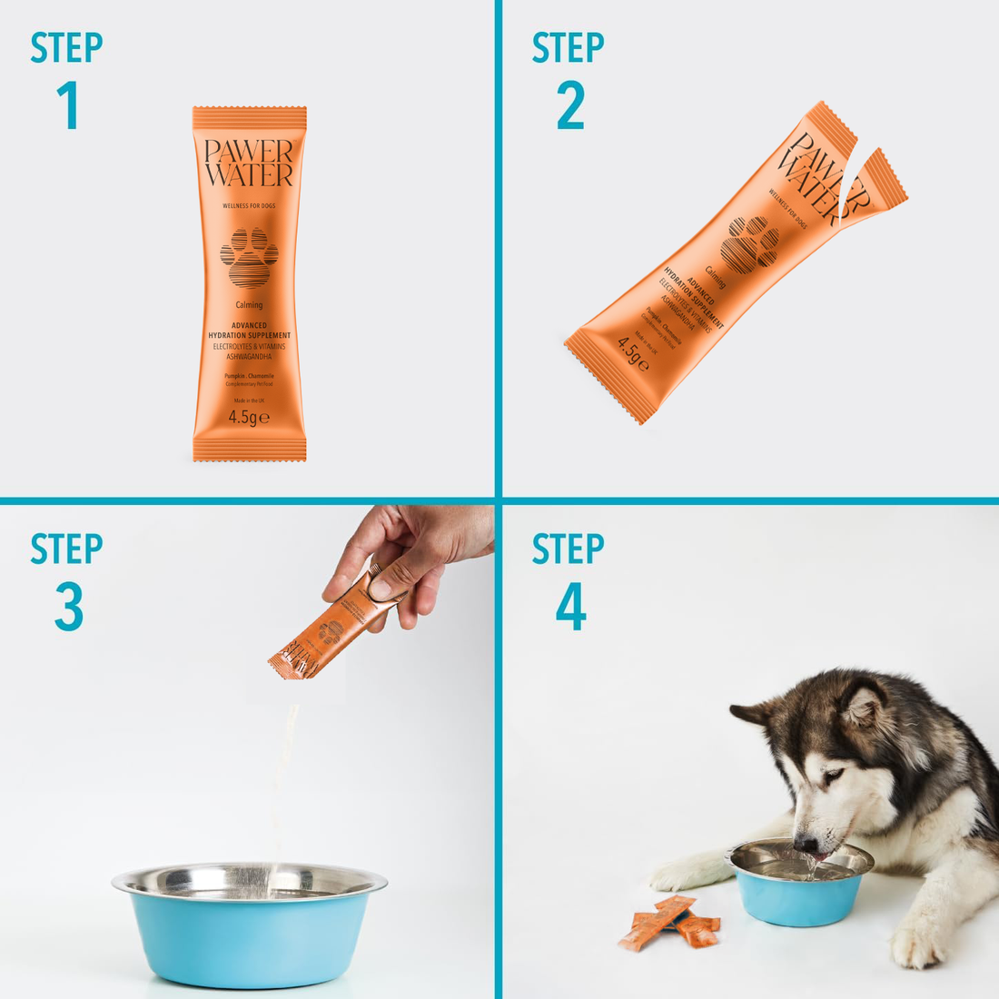 The Explorer Kit | Shop Brit | UK Pet Shop | 