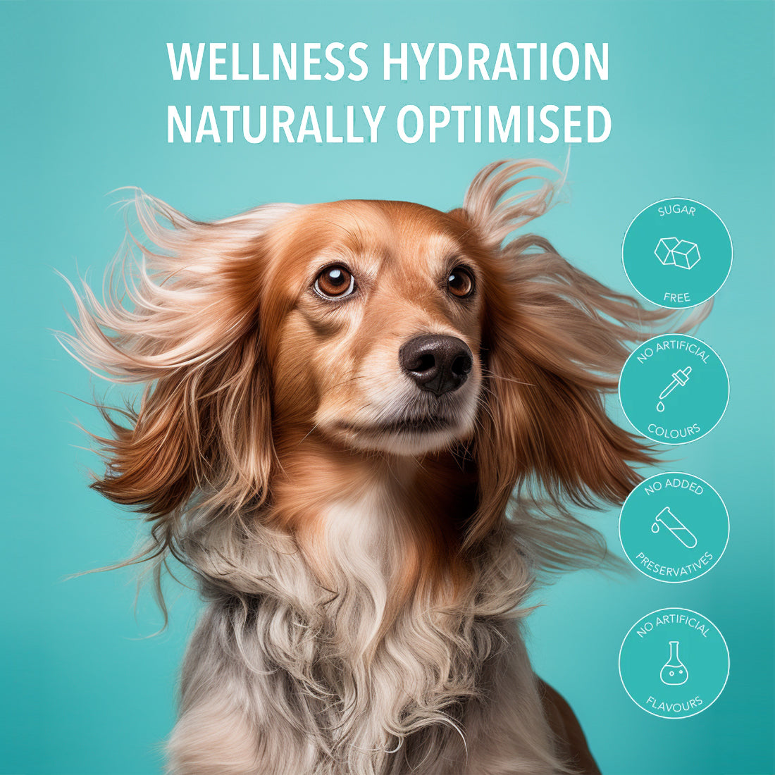 Pawer Water Joint Support (5 Sticks Pouch) | Shop Brit | UK Pet Shop | 