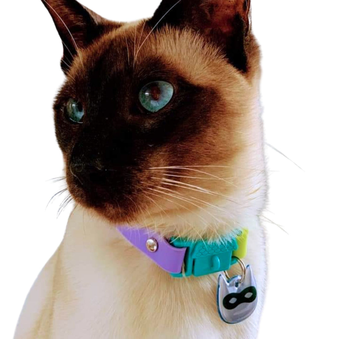 KITTYRAMA BLUE NINJA CAT CHARM – Reflective, Safe, High Visibility | Shop Brit | UK Pet Shop | Cat Supplies