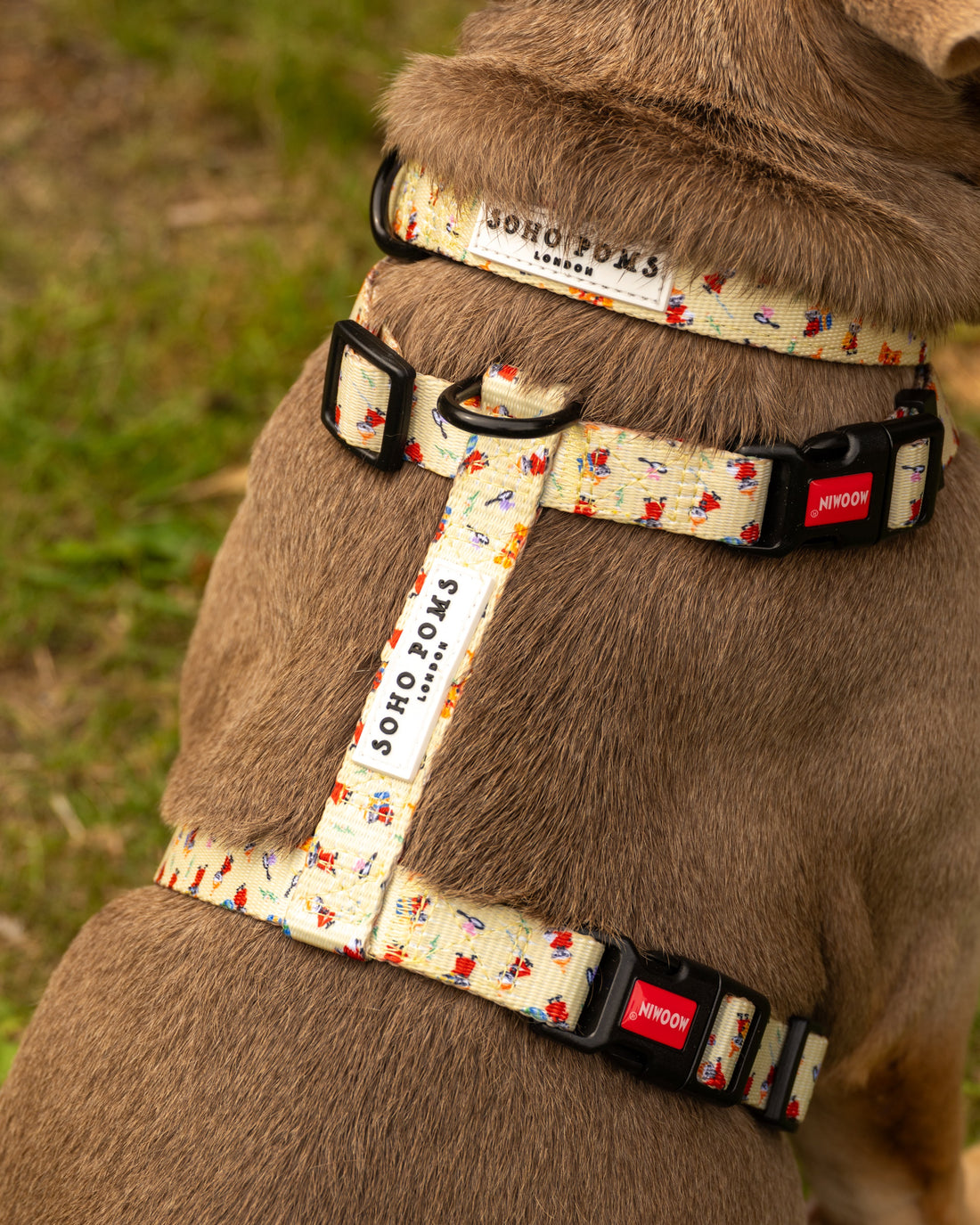 Moomins Yellow Sunrise Dogs Padded Collar by Soho Poms | Shop Brit | UK Pet Shop | Dog Collars