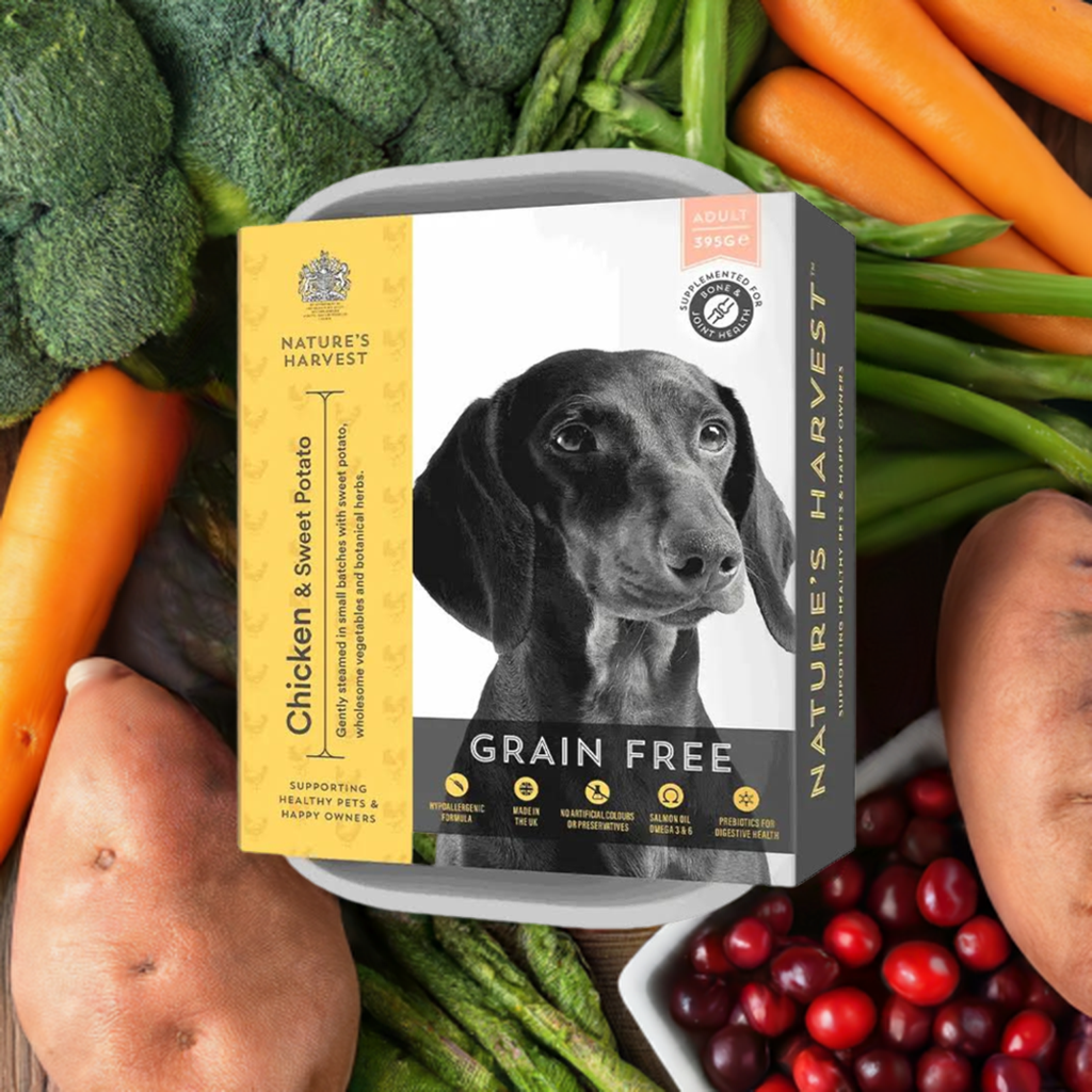 Nature's Harvest Grain Free Adult - Chicken & Sweet Potato | Shop Brit | UK Pet Shop | Wet Dog Food
