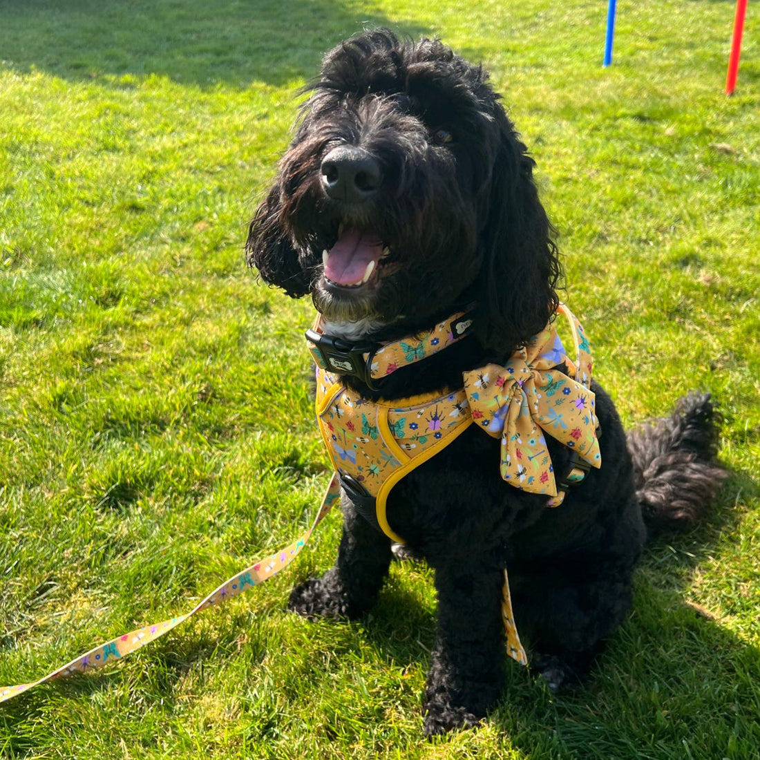 Summer Buzzin' No Pull Tactical Dog Harness – Yellow Insect Print, Adjustable, Step-In (XS-XL) | Shop Brit | UK Pet Shop | 