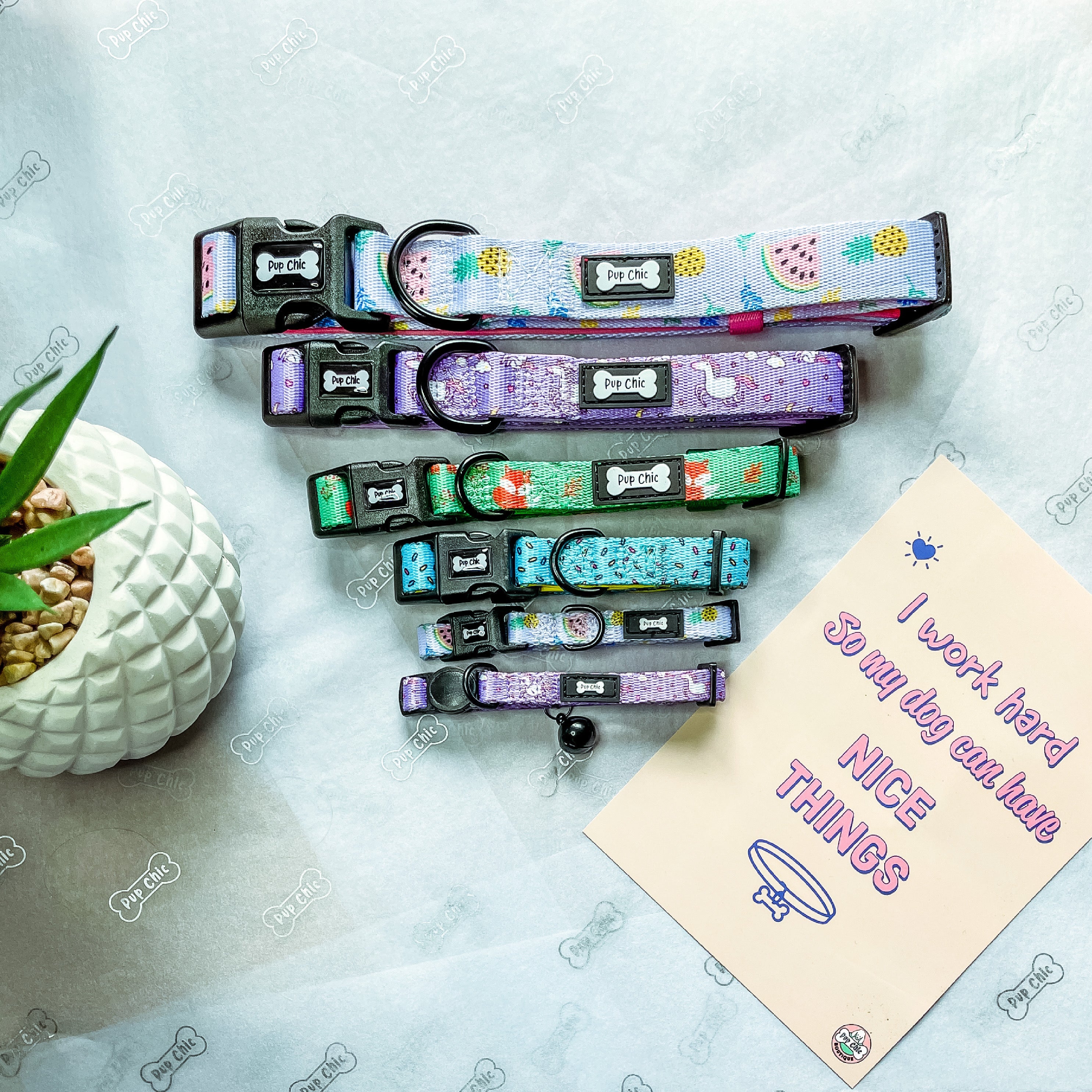 Inquisitive Fox Collar | Shop Brit | UK Pet Shop | Pet Products