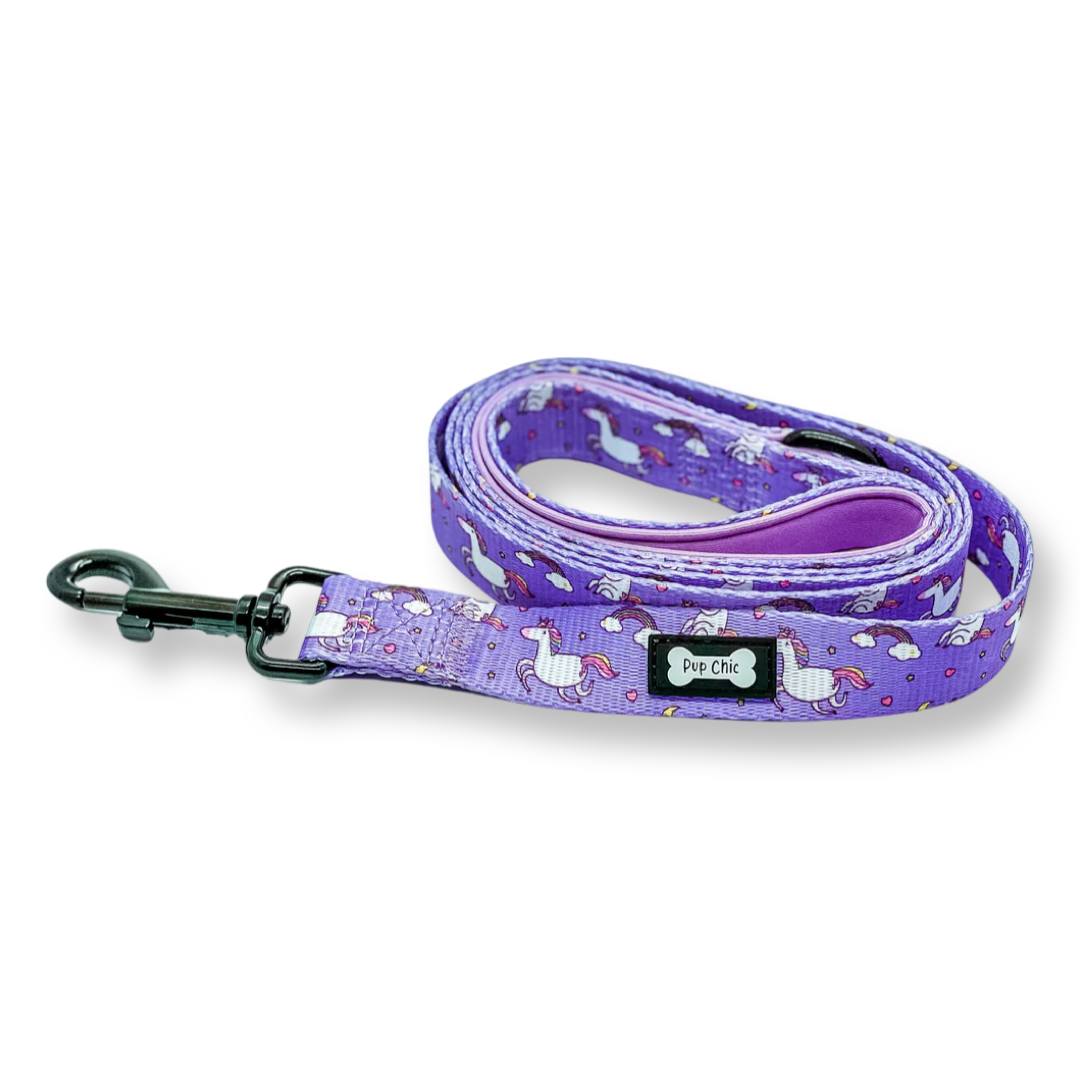 Daydreams and Unicorns 5ft Lead | Shop Brit | UK Pet Shop | Pet Products