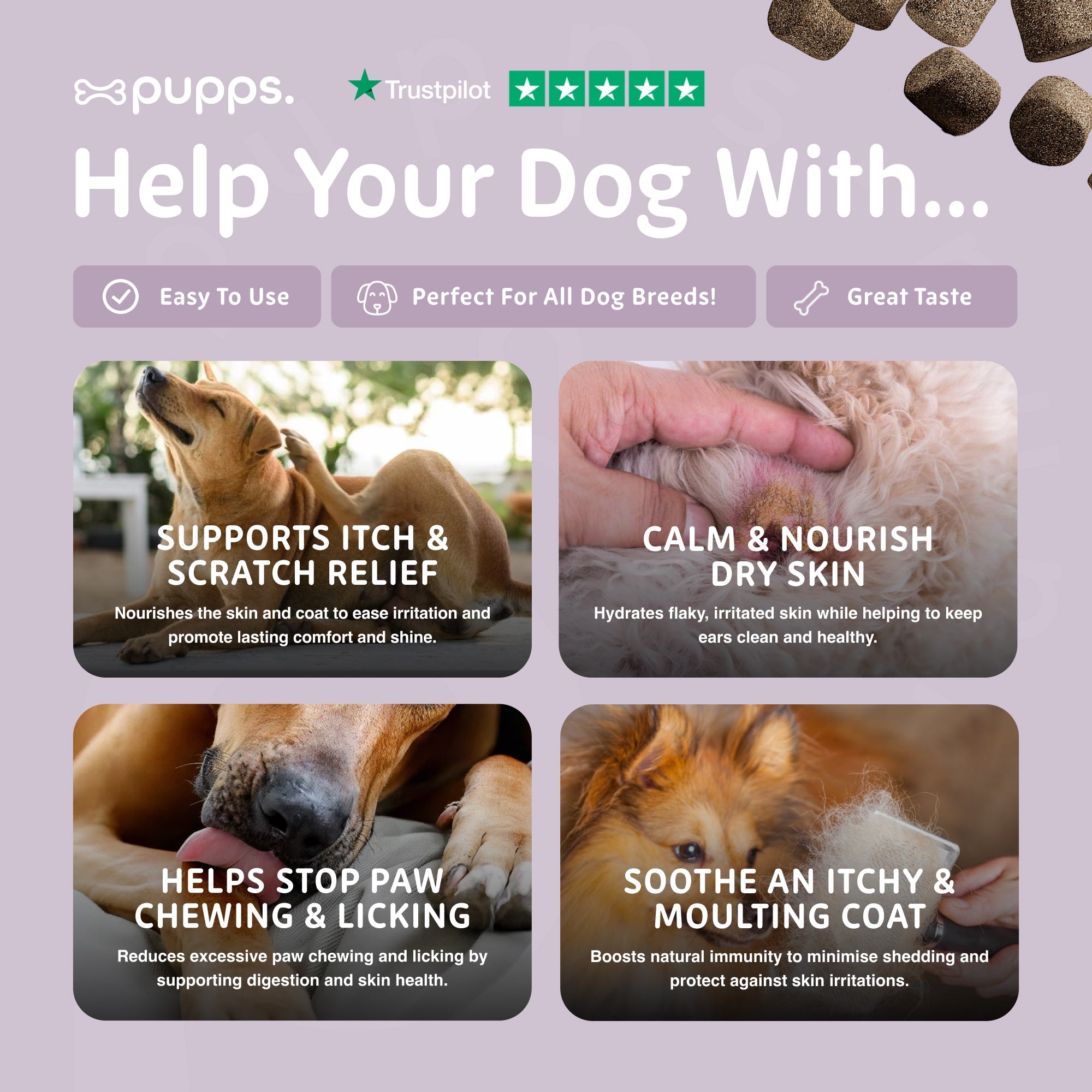 Itch Relief Treats | Shop Brit | UK Pet Shop | Itch Relief Treats