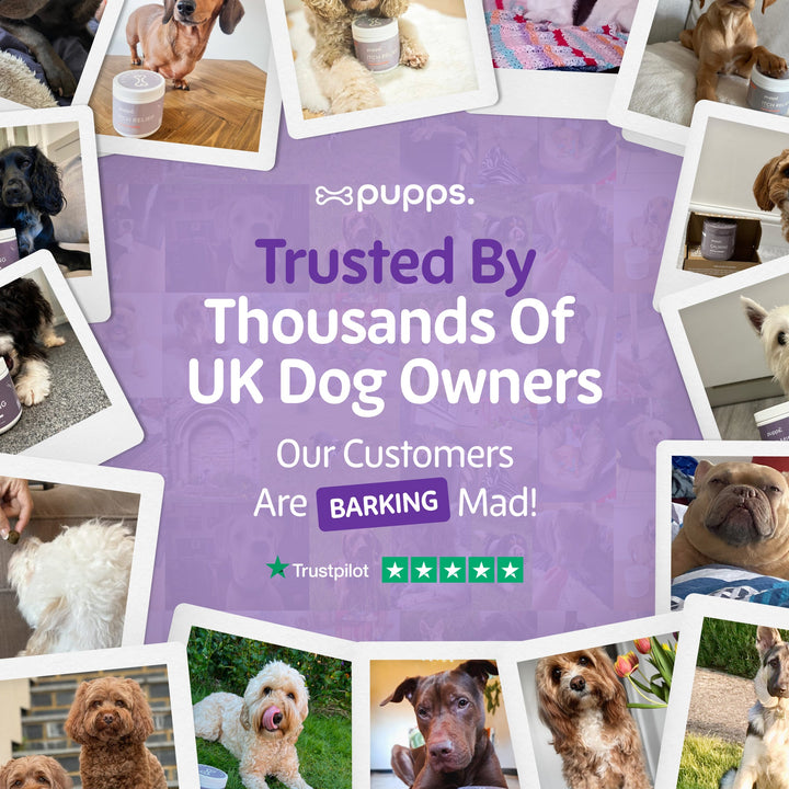 Pupps Calming Treats for Dogs | Natural Anxiety & Stress Relief Chews with Chamomile, Valerian & Hemp – UK Made