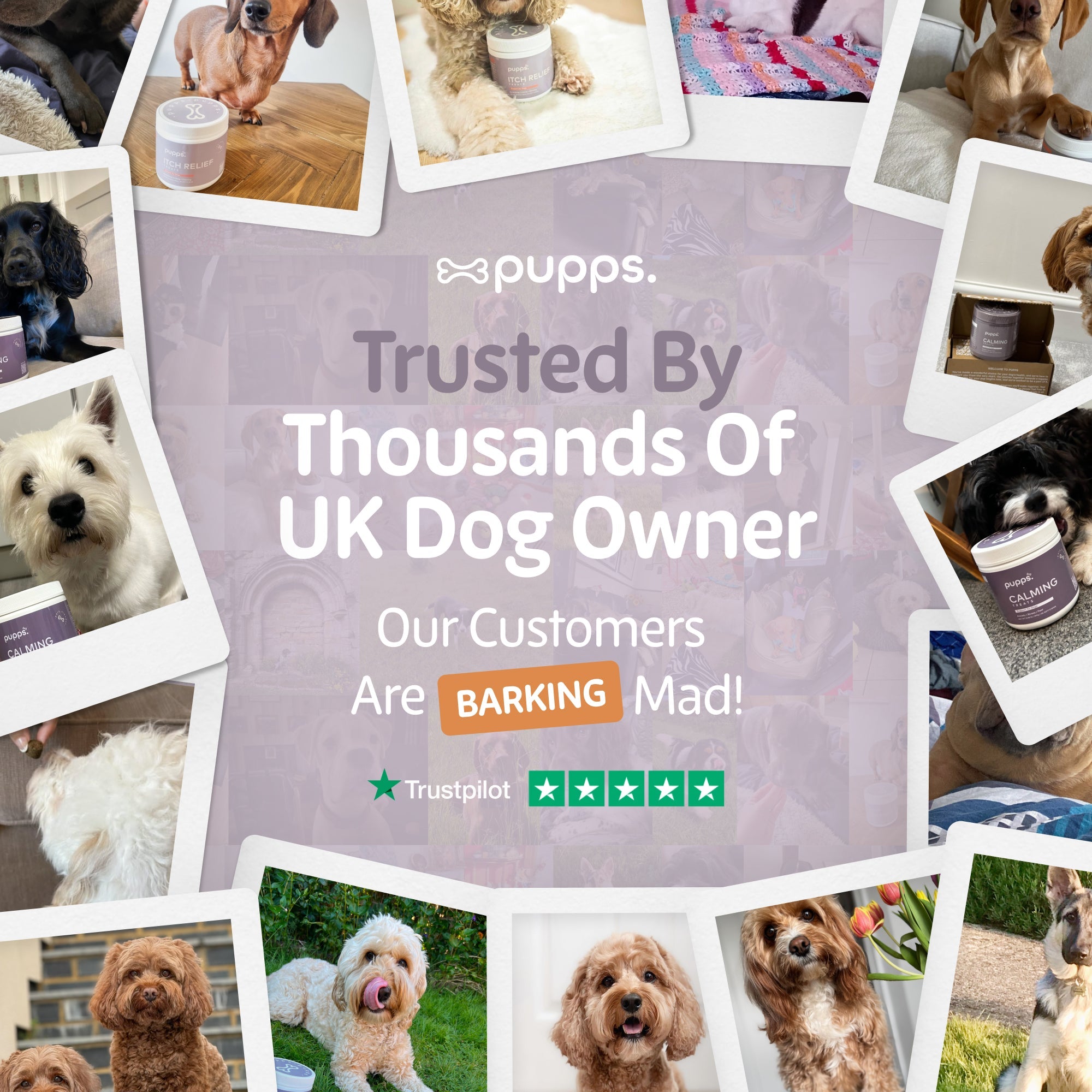 Itch Relief Treats | Shop Brit | UK Pet Shop | Itch Relief Treats