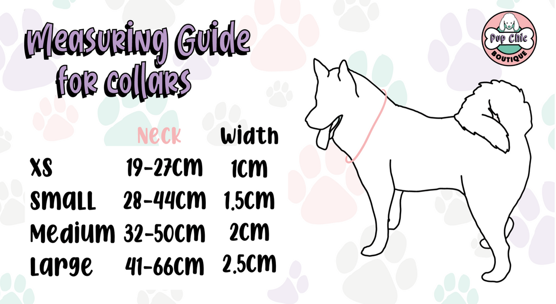 Inquisitive Fox Collar | Shop Brit | UK Pet Shop | Pet Products