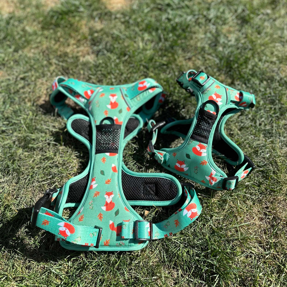 Inquisitive Fox No Pull Tactical Dog Harness – Green Fox Print, Adjustable, Step-In (XS-XL) | Shop Brit | UK Pet Shop | 
