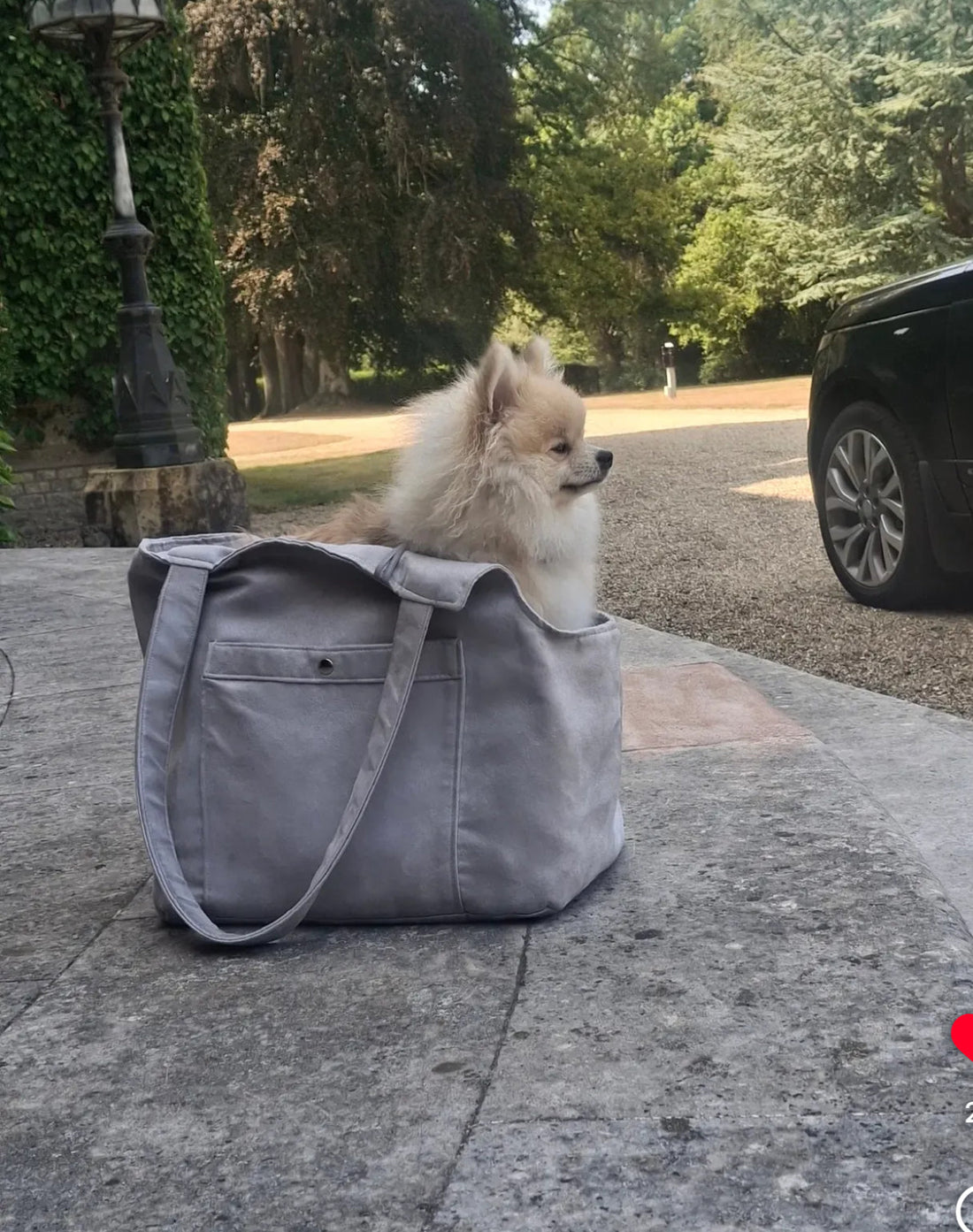 Soho Poms Grey Suede Camden Bear Dog Carrier | Shop Brit | UK Pet Shop | Dog Carrier