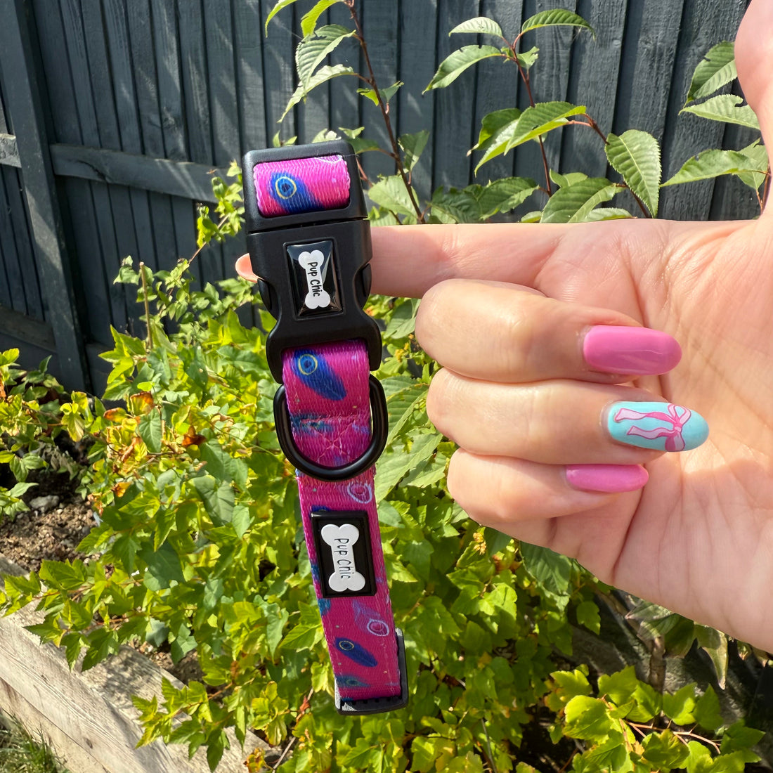 Peacock Power Dog Collar: Stylish, Durable, and Comfortable for Your Dog | Shop Brit | UK Pet Shop | Pet Products