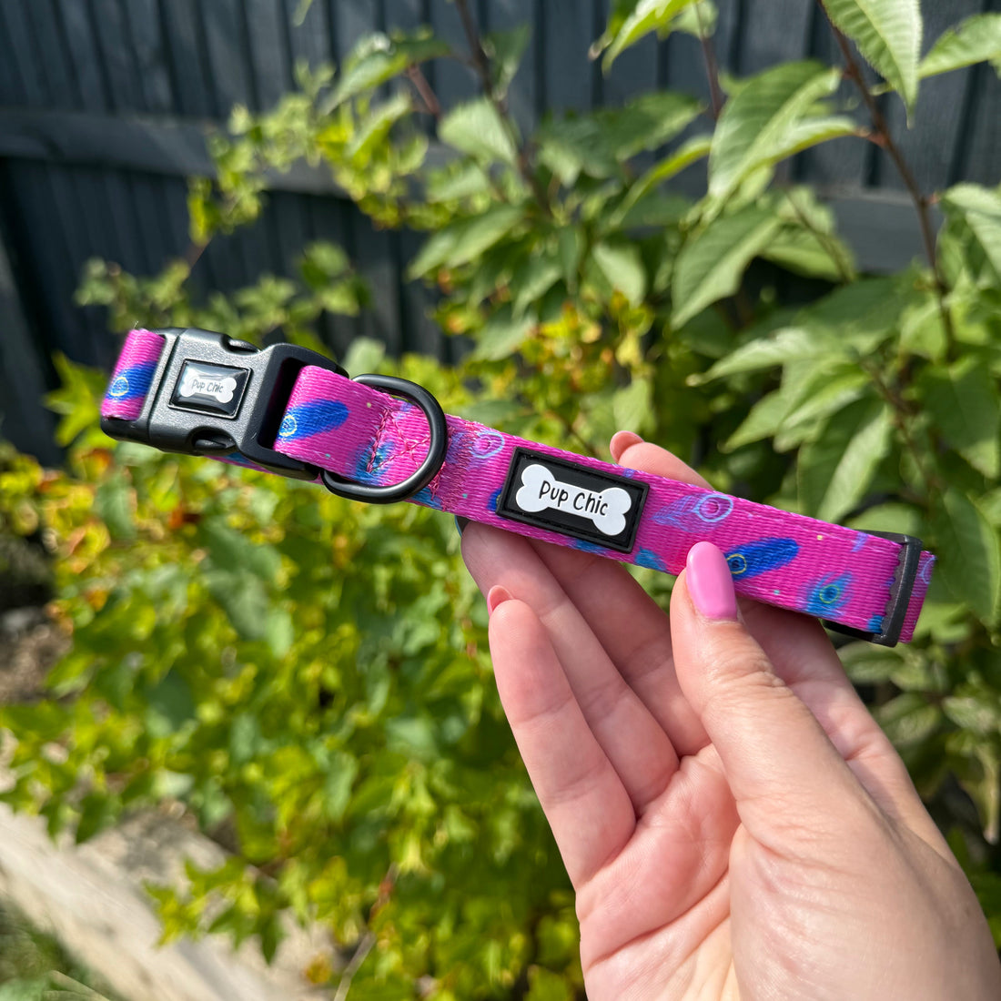 Peacock Power Dog Collar: Stylish, Durable, and Comfortable for Your Dog | Shop Brit | UK Pet Shop | Pet Products