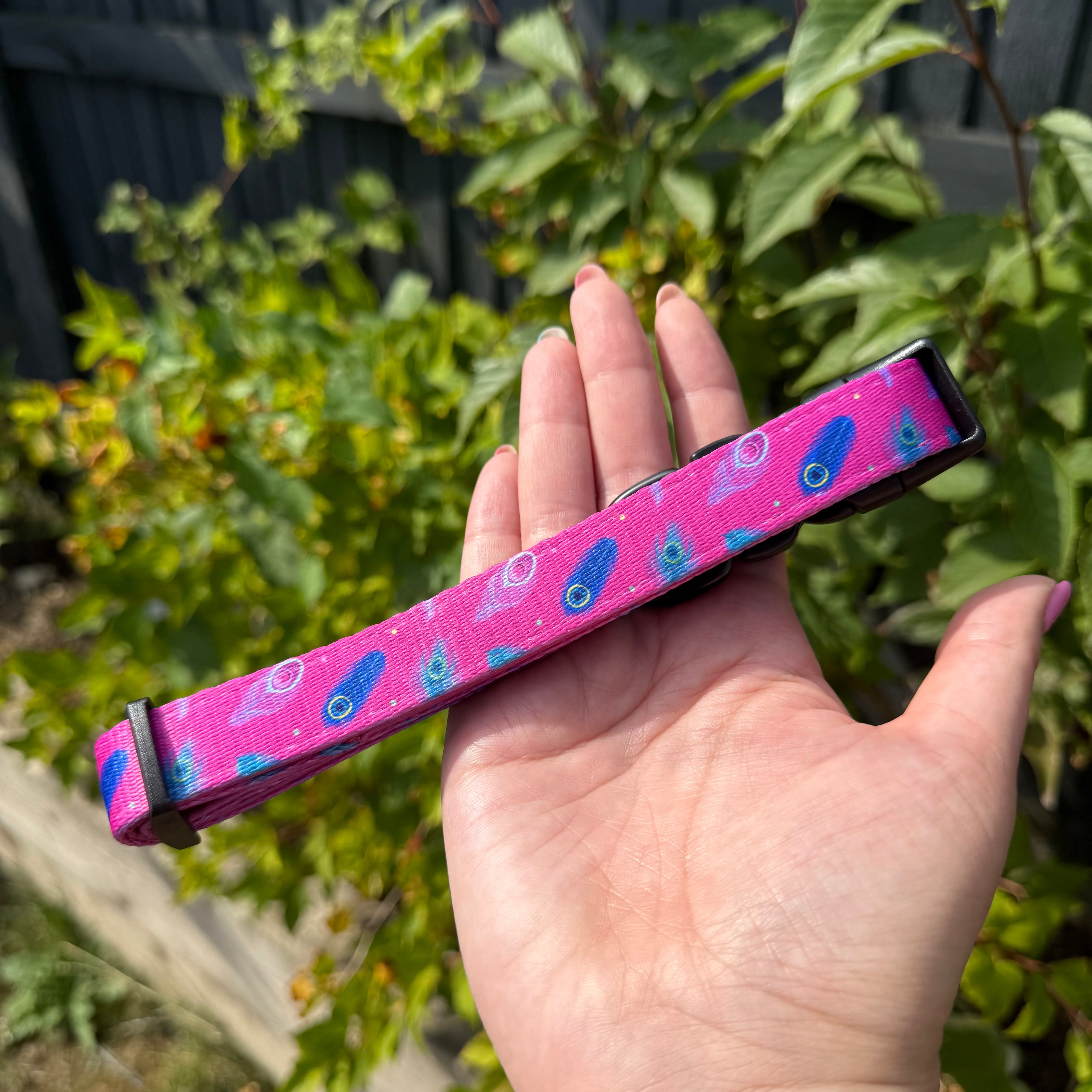 Peacock Power Dog Collar: Stylish, Durable, and Comfortable for Your Dog | Shop Brit | UK Pet Shop | Pet Products