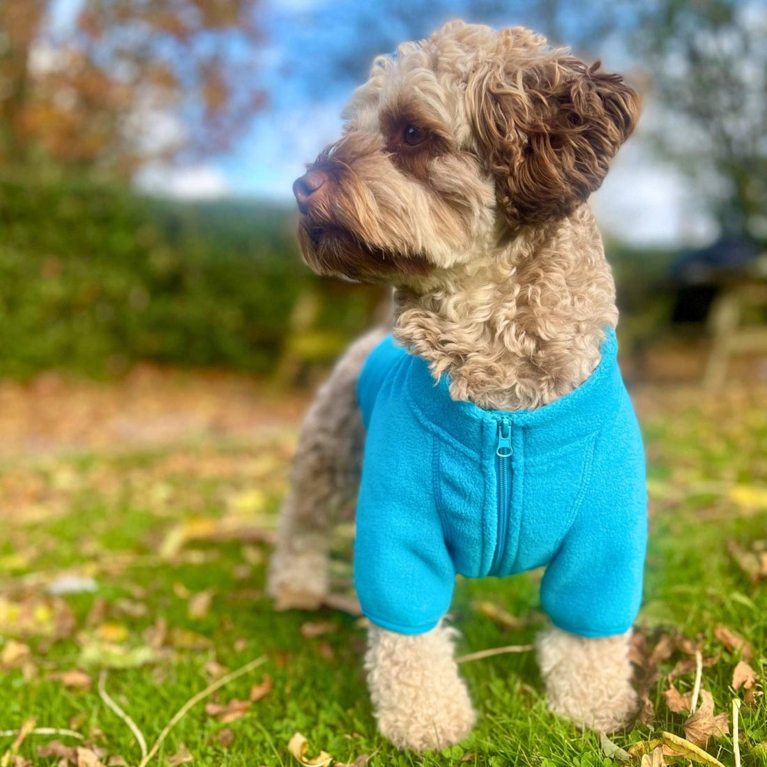 Dog Fleece Coat - Blue
