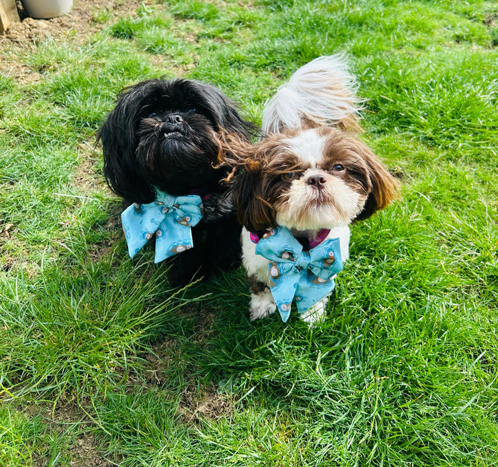 Otterly Lovely Sailor bow 🦦💙 | Shop Brit | UK Pet Shop | Pet Products