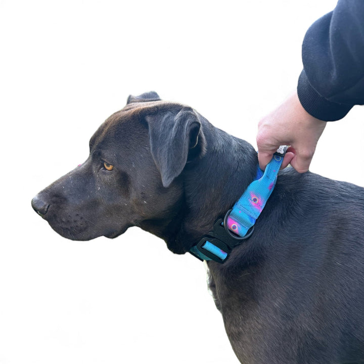 Power Peacock Tactical Dog Collar | Shop Brit | UK Pet Shop | 