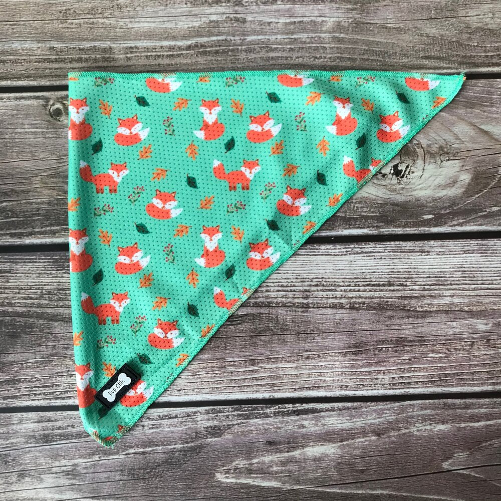 Inquisitive Fox Cooling Bandana | Shop Brit | UK Pet Shop | Pet Products