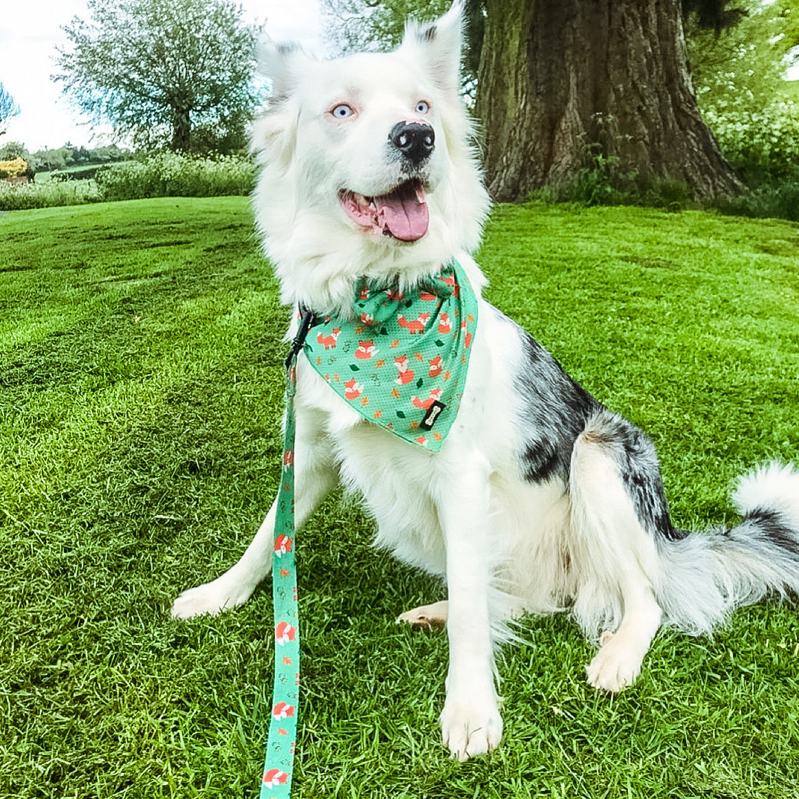 Inquisitive Fox Cooling Bandana | Shop Brit | UK Pet Shop | Pet Products