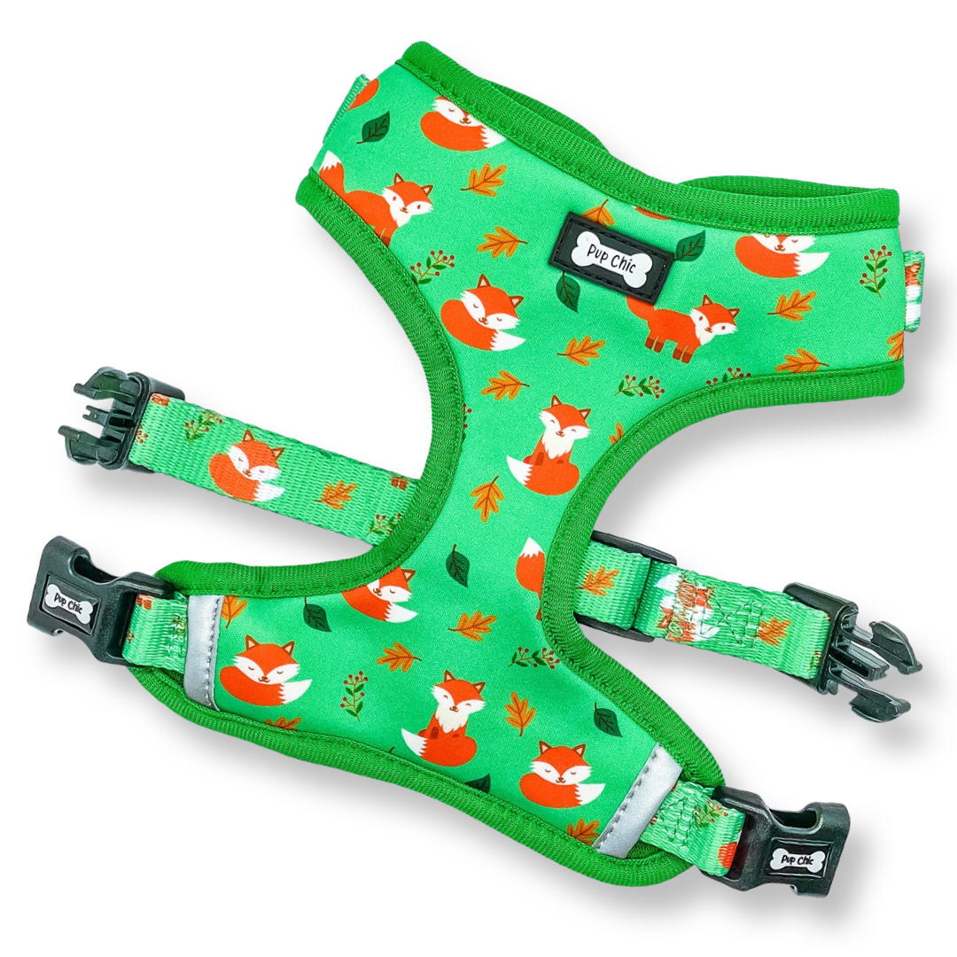 Inquisitive Fox XXS Puppy Harness | Shop Brit | UK Pet Shop | Pet Products