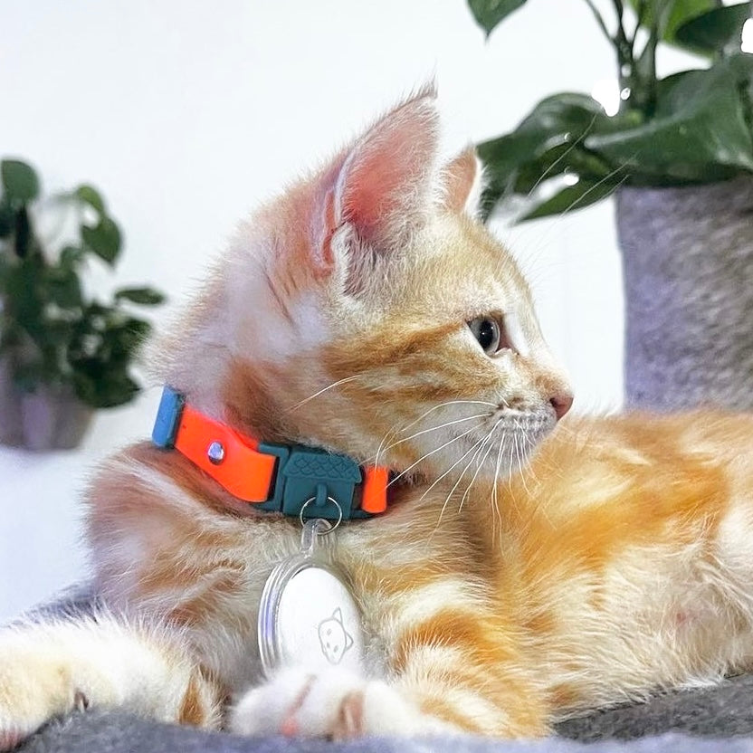 KITTYRAMA KITTEN TANGERINE COLLAR - Soft, Lightweight, Quick Release Breakaway | Shop Brit | UK Pet Shop | Cat Supplies