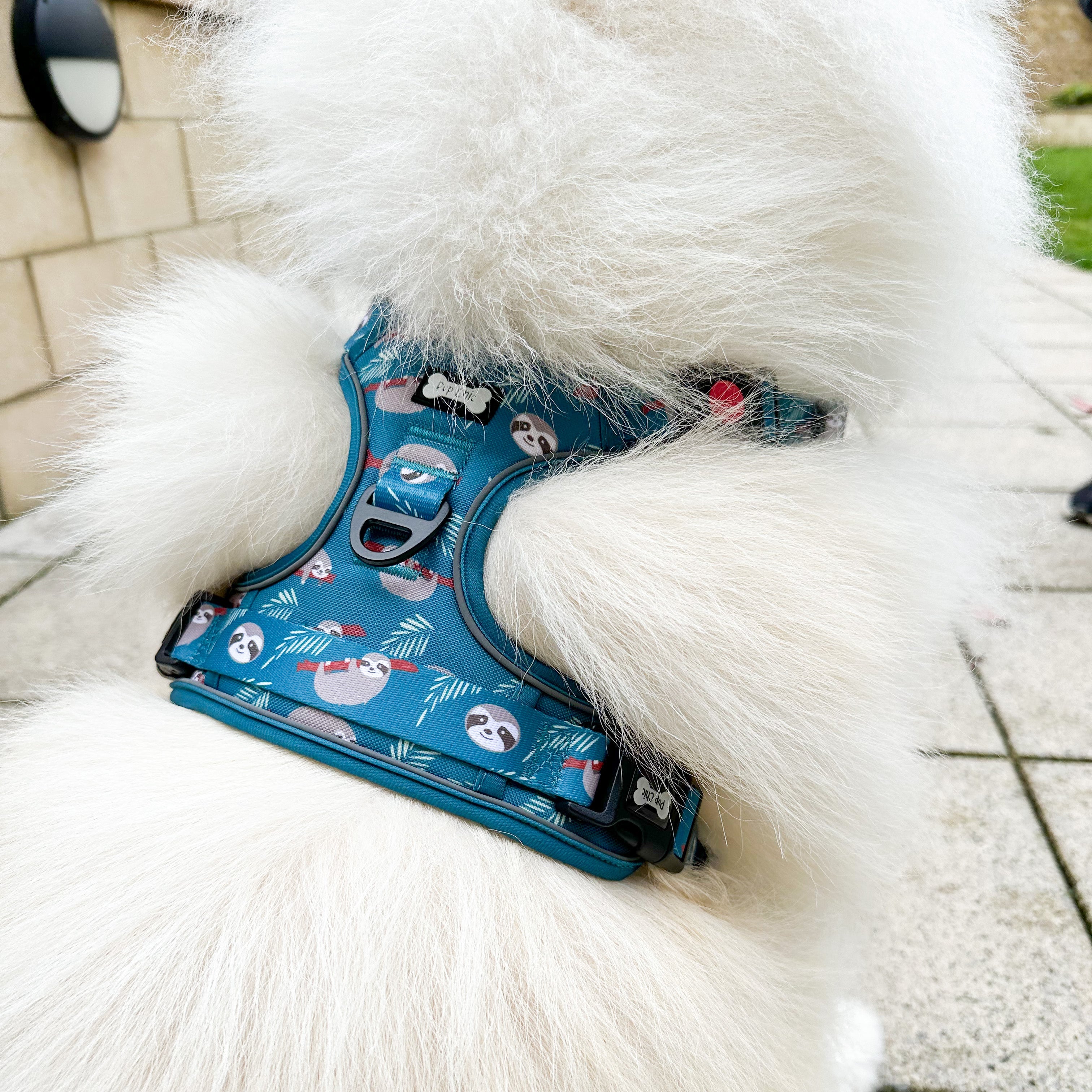 Lazy Sloth Tactical Dog Harness | Shop Brit | UK Pet Shop | 