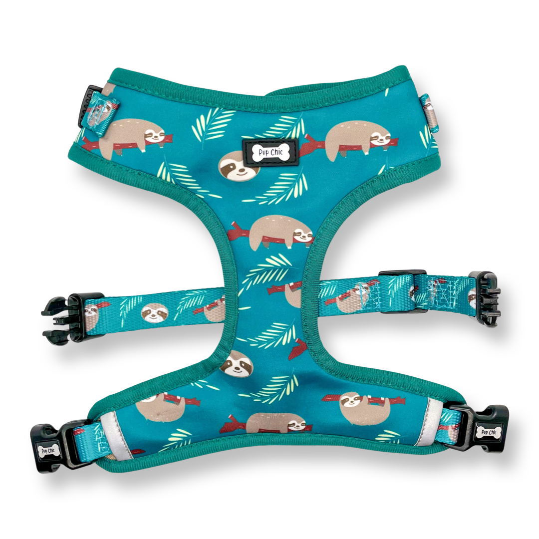 Lazy Sloth Puppy Harness – XXS Size for Tiny Breeds 🦥💚 | Shop Brit | UK Pet Shop | Pet Products