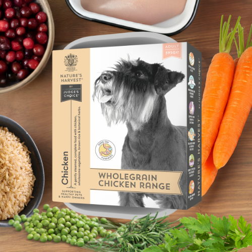 Chicken & Vegetables with Brown Rice Wet Dog Food - Adult | Shop Brit | UK Pet Shop | Wet Dog Food