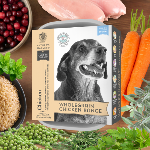 Chicken & Vegetables with Brown Rice - Senior | Shop Brit | UK Pet Shop | Wet Dog Food