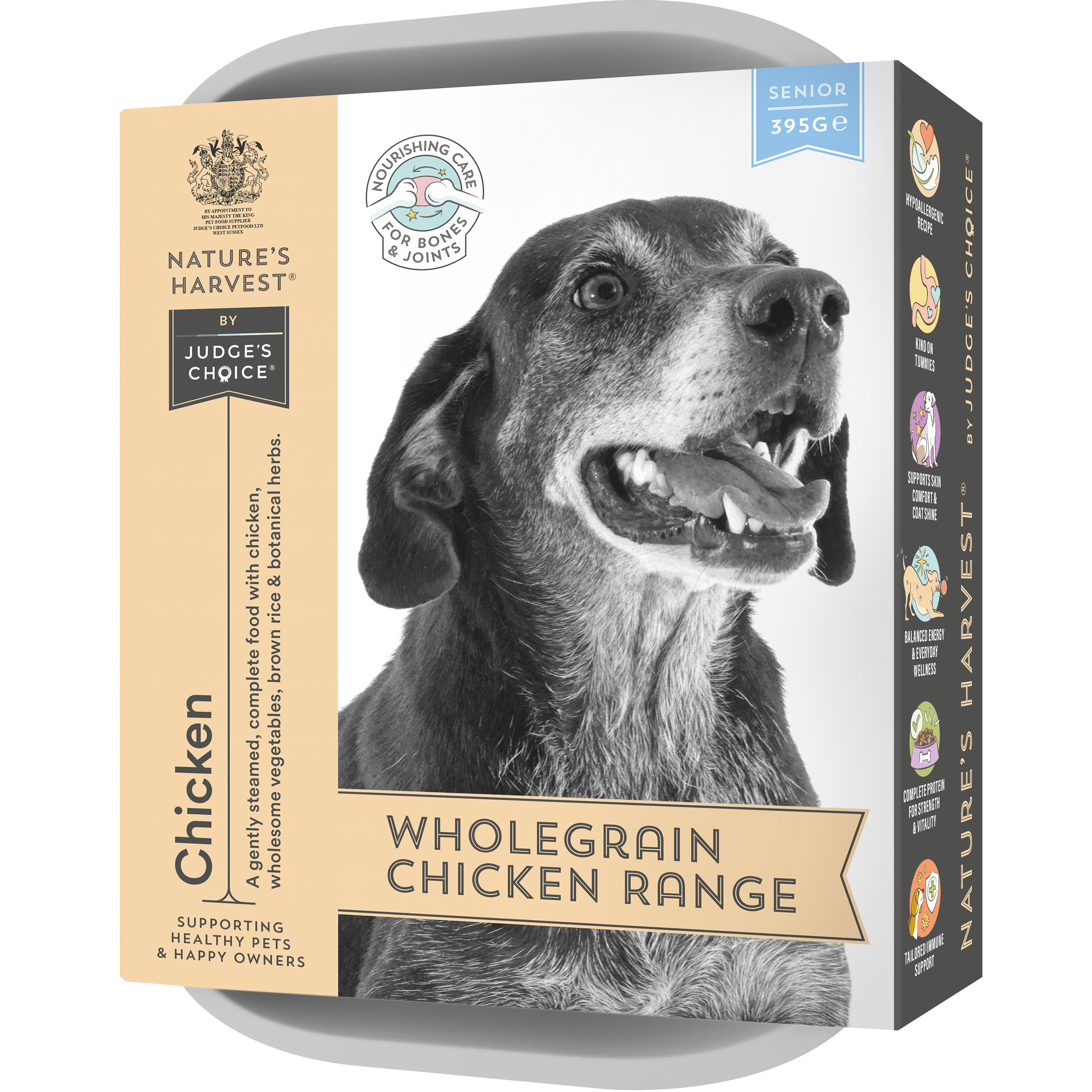 Chicken & Vegetables with Brown Rice - Senior | Shop Brit | UK Pet Shop | Wet Dog Food