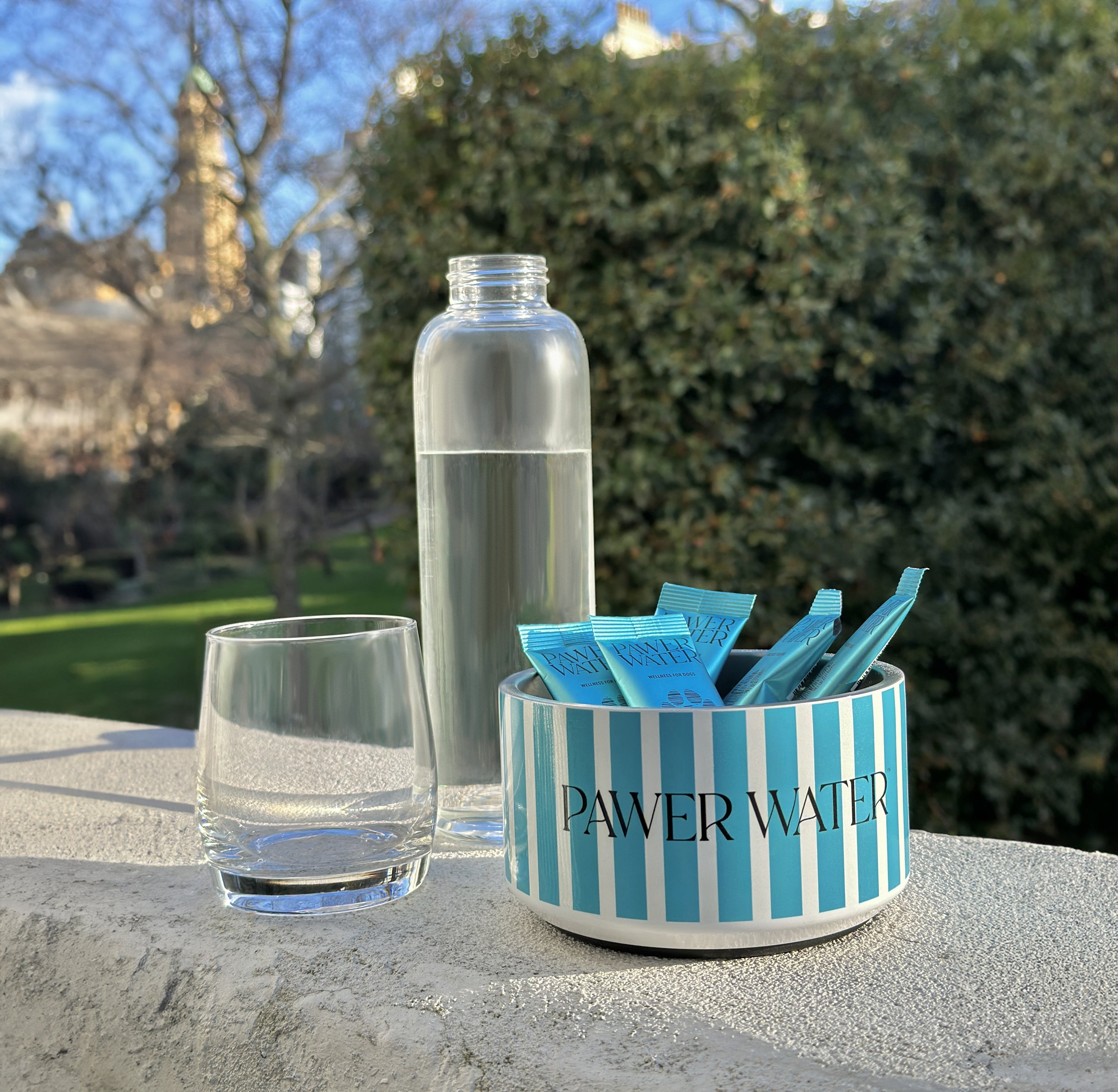 Dog Hydration Bowl | Shop Brit | UK Pet Shop | 