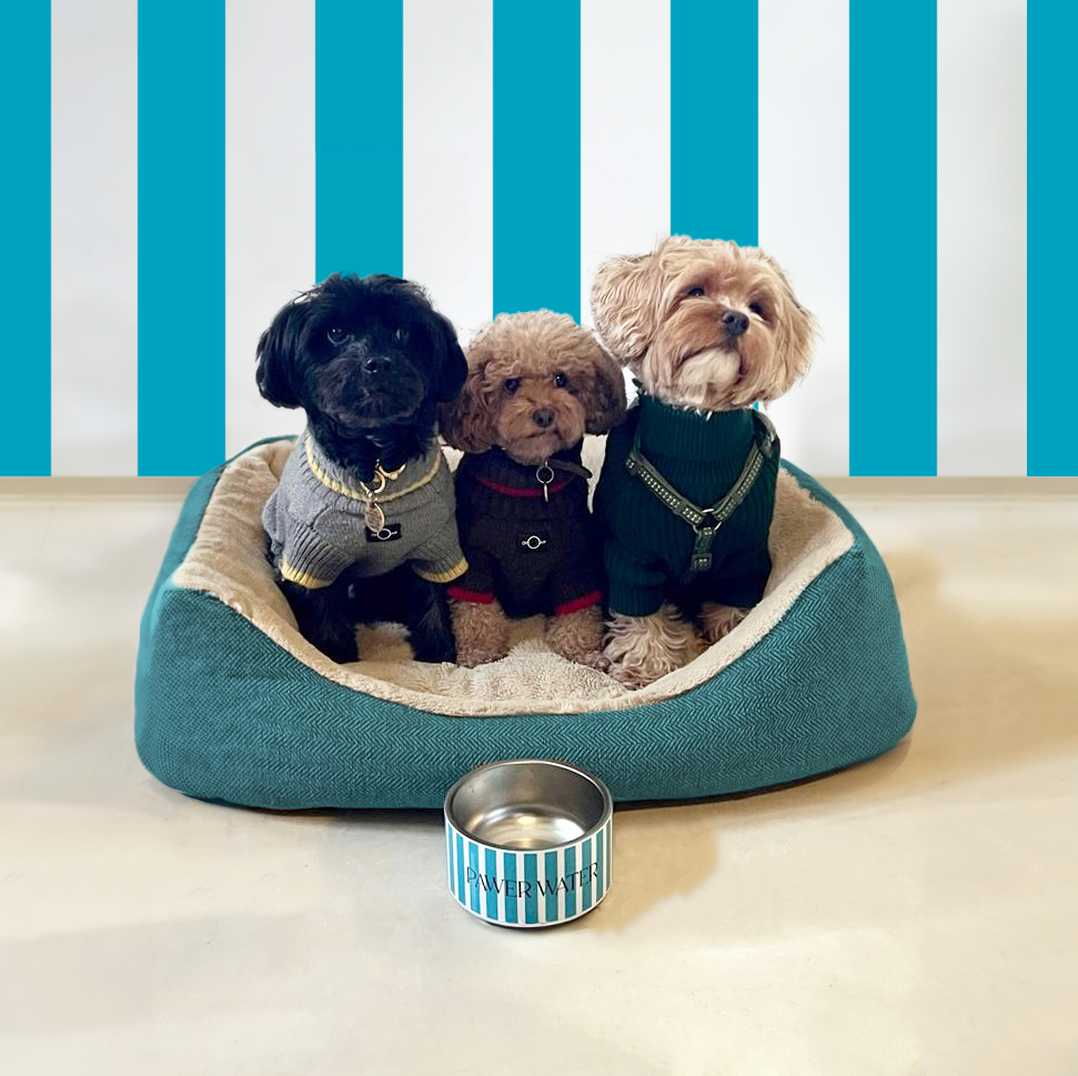 Dog Hydration Bowl | Shop Brit | UK Pet Shop | 