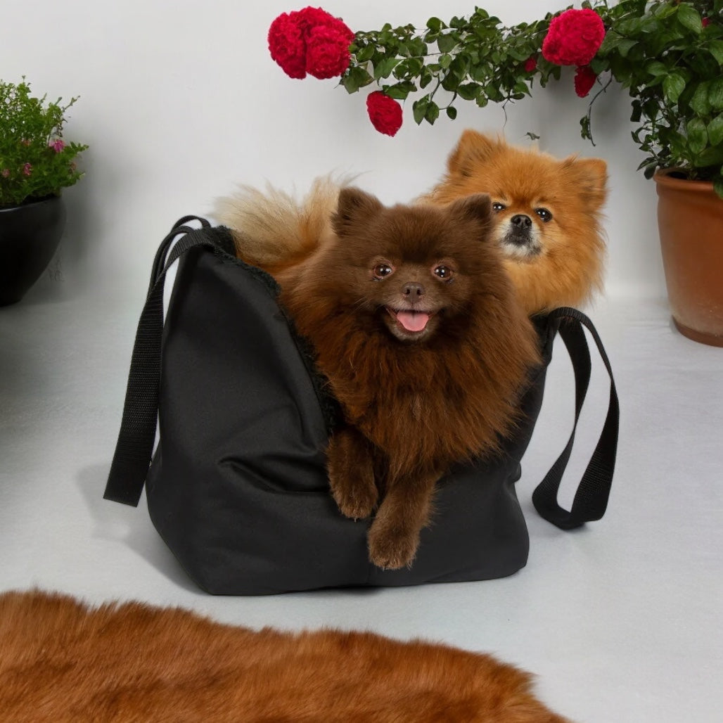Soho Poms Black Luxury Rainy Bear Dog Carrier | Shop Brit | UK Pet Shop | Dog Carriers
