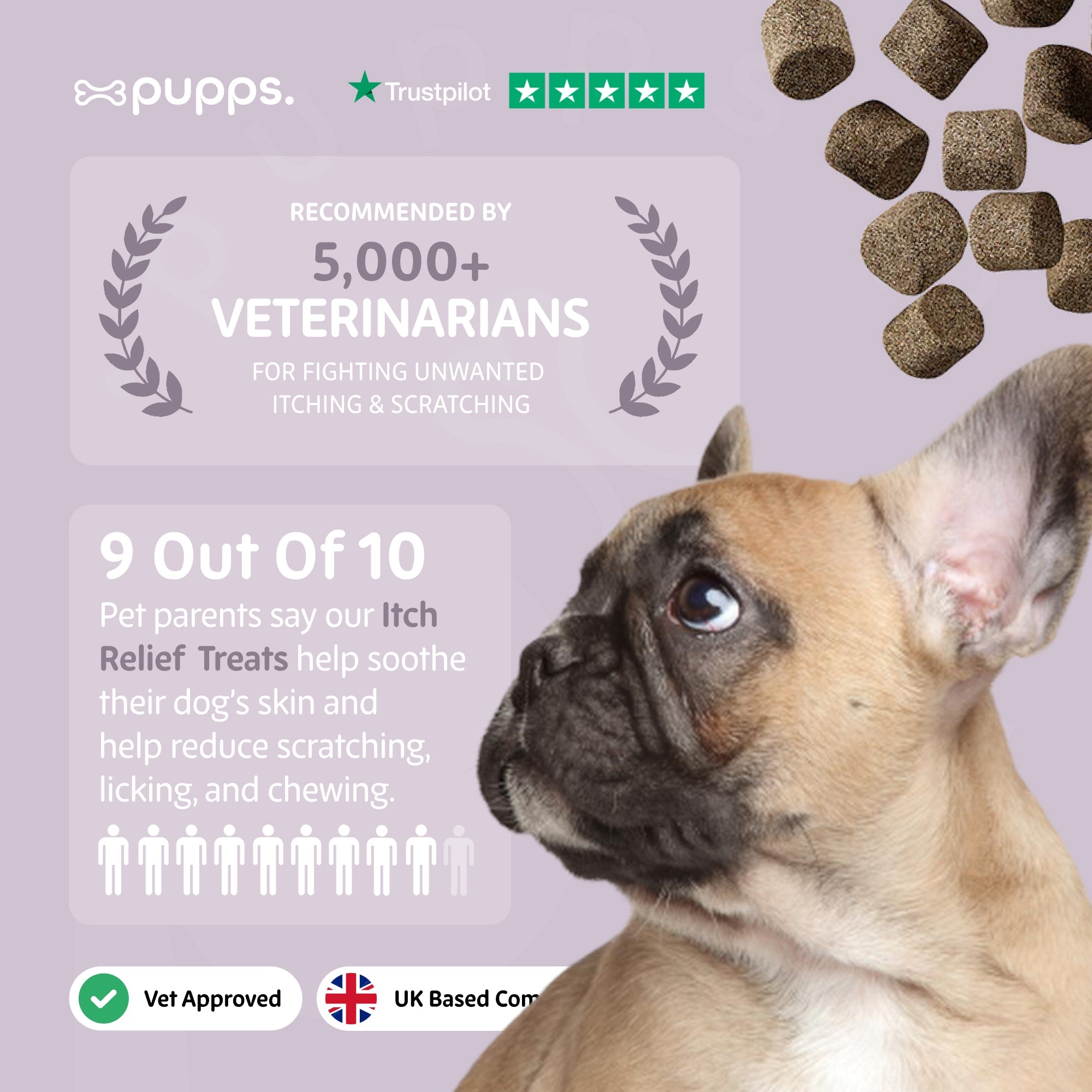 Itch Relief Treats | Shop Brit | UK Pet Shop | Itch Relief Treats