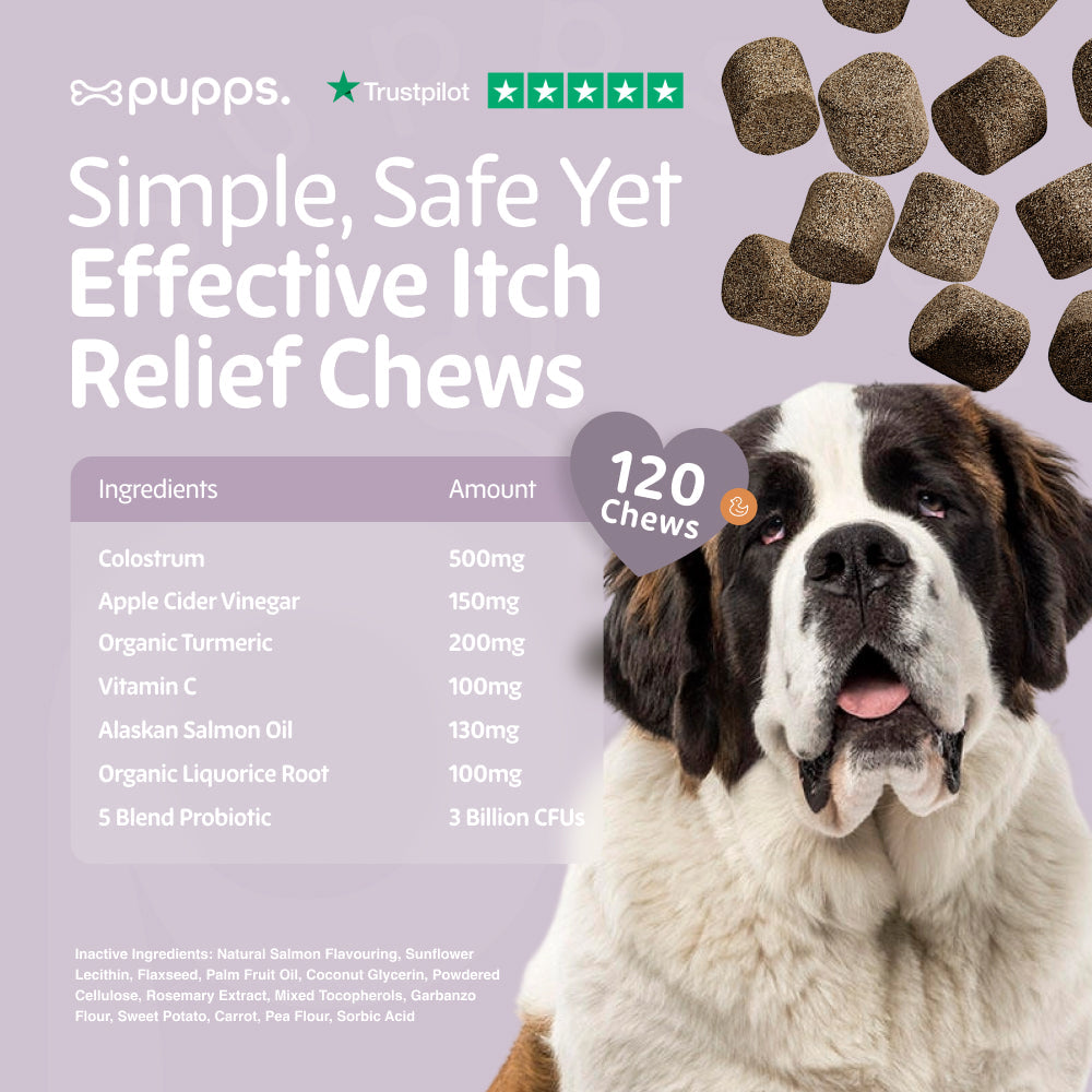Itch Relief Treats | Shop Brit | UK Pet Shop | Itch Relief Treats