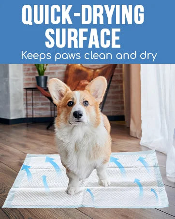 Dog Pee Pad, Puppy Potty Training Pet Pads Dog Pads Extra Large Disposable Super Absorbent & Leak-Free Pee Pads