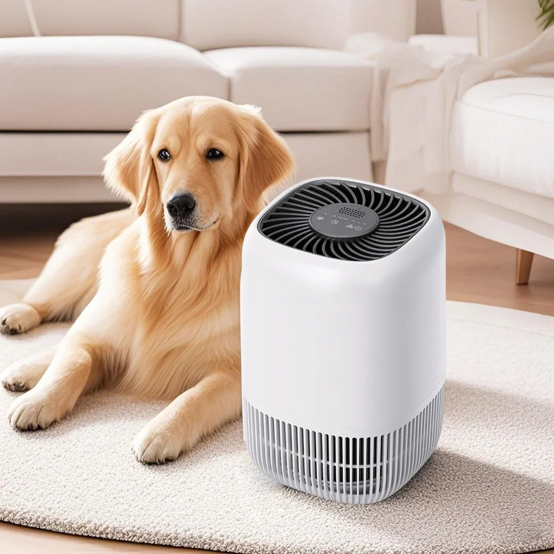 Air Purifiers for Bedroom Home, Air Filter Cleaner with Fragrance Sponge, HEPA Filter for Smoke, Allergies, Pollen, Pet Timer