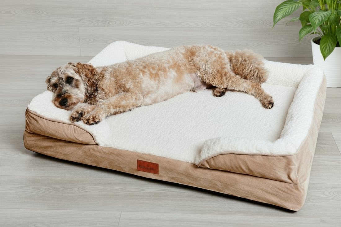 Washable Orthopaedic Dog Sofa Bed - XL | Shop Brit | UK Pet Shop | 