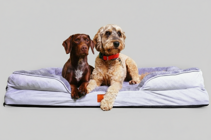 Washable Orthopaedic Dog Sofa Bed - XL | Shop Brit | UK Pet Shop | 