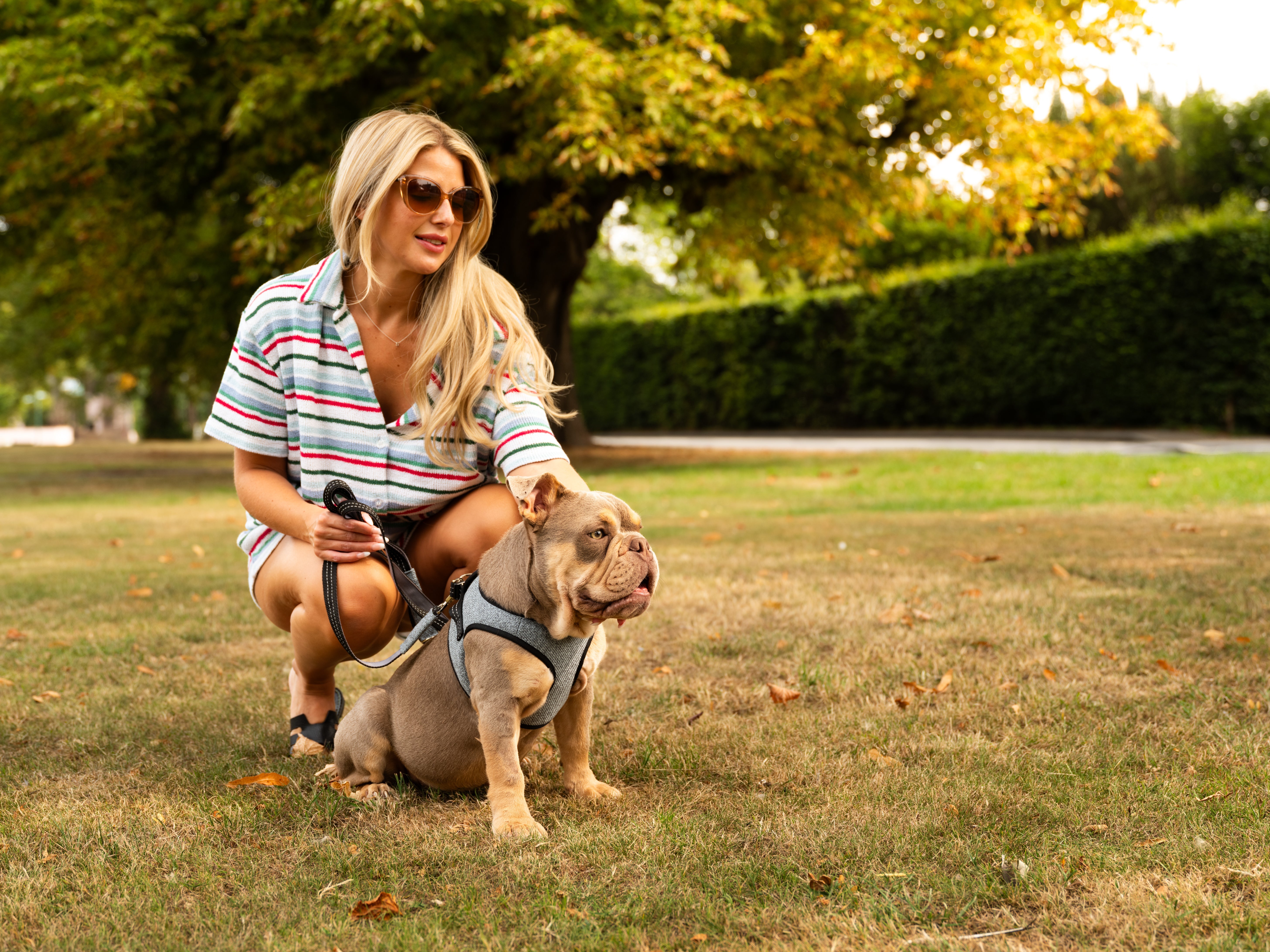 Soho Poms x Bowl & Bone Republic Mayfair Harness - Ocean | Shop Brit | UK Pet Shop | Dog Harnesses