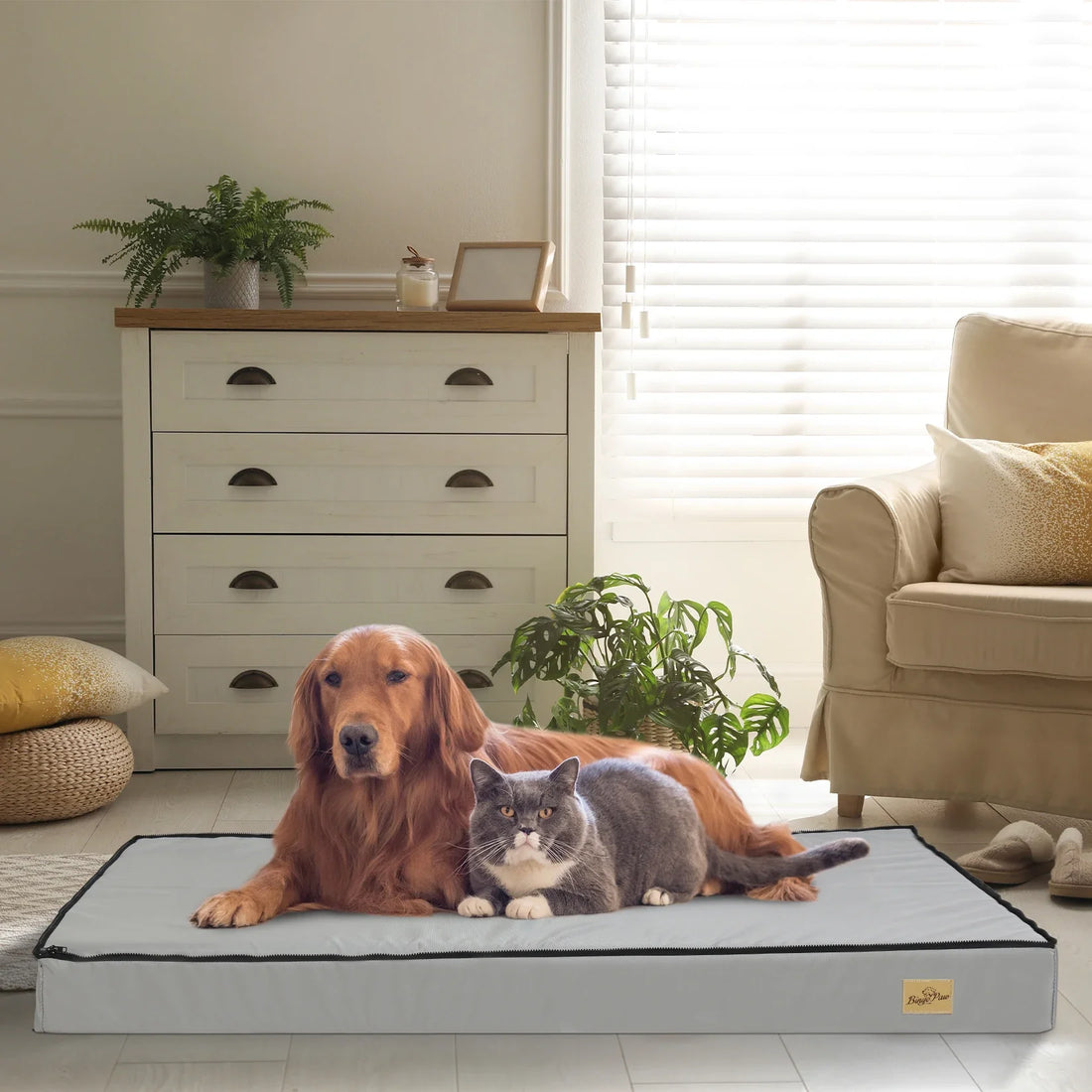 L-3XL Dog Bed Orthopedic Pet Calming Bed Soft Sponge Foam Base Dog Crate Kennels Mat with Removable Cover