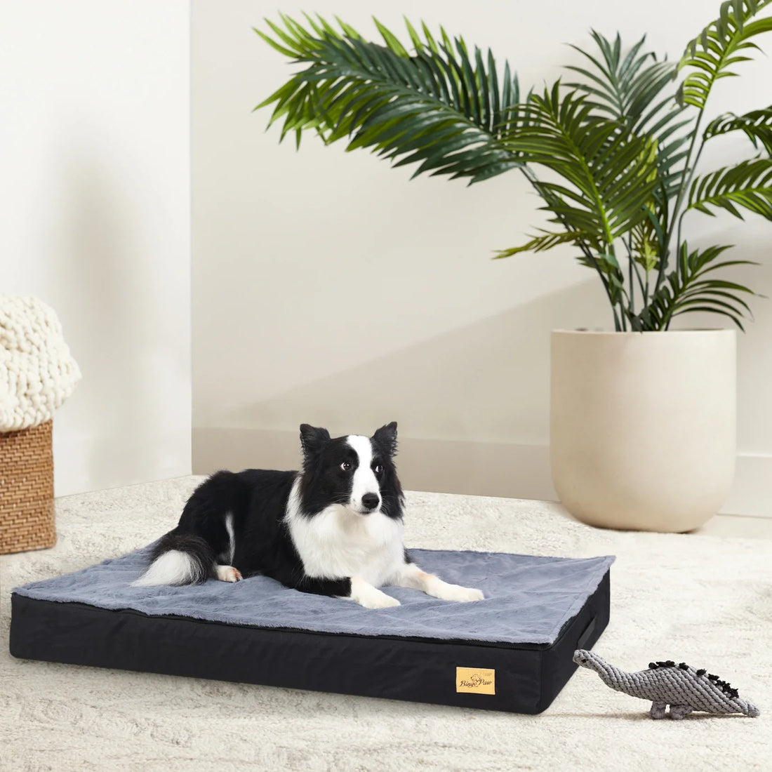 M L XL 2XL Dog Bed Jumbo Pet Orthopedic Bed Memory Foam Base Crate Mattess Cushion with Washable Cover Waterproof