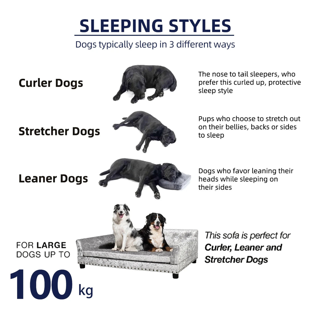 Dutch Velvet Upholstered Pet Lounge Chair, Dog Bed, Sofa, Couch Bed, Solid Wood Legs, Detachable Pad, Pet Supplies, L, XXL