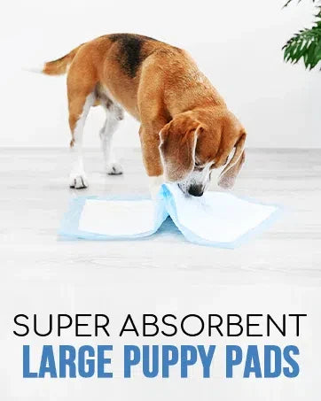 Dog Pee Pad, Puppy Potty Training Pet Pads Dog Pads Extra Large Disposable Super Absorbent & Leak-Free Pee Pads