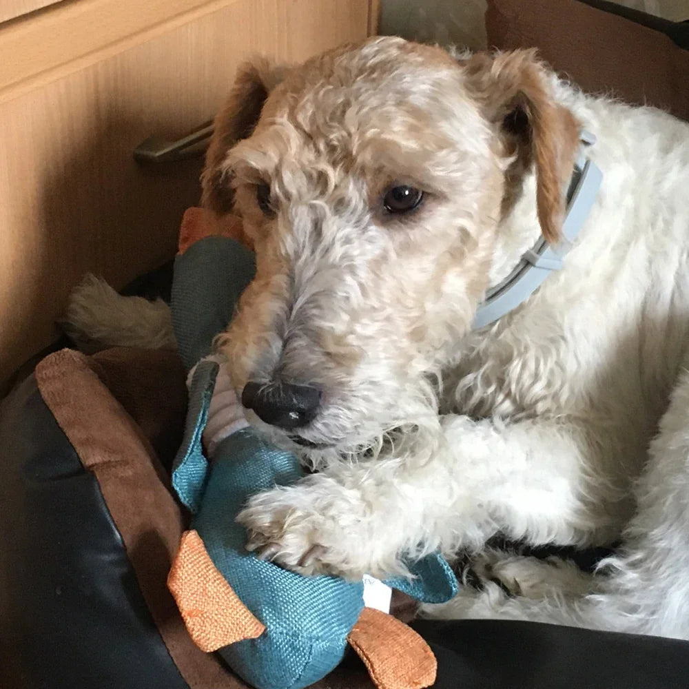 Cute Dog Plush Toys Pet Duck Squeak Toy for Puppy Sound Wild Goose Chew Toy for Small Middle Large Dogs Teeth Cleaning Toys