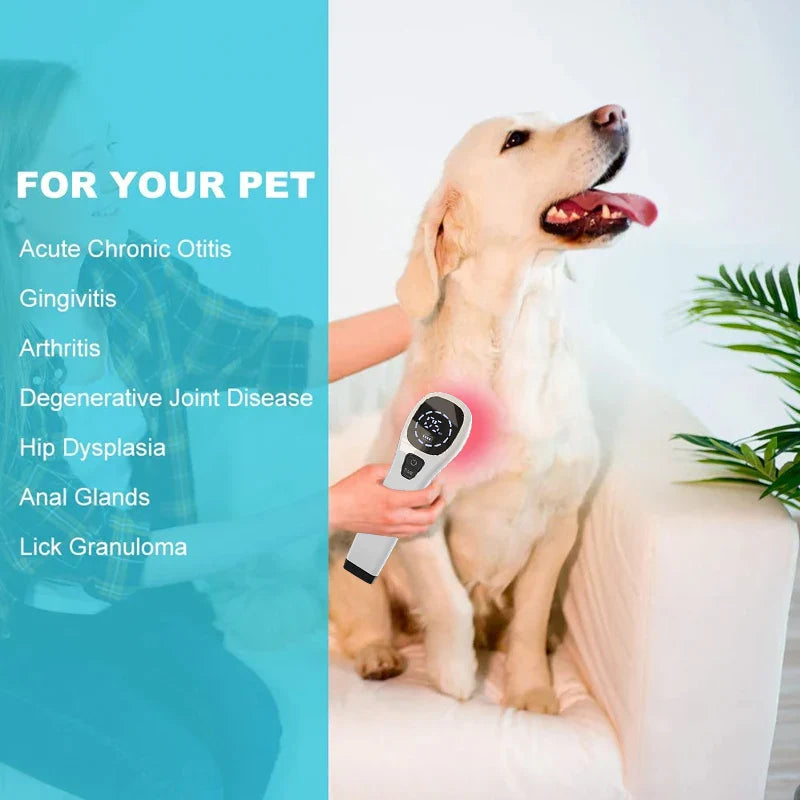 KTS Body Pain Laser Therapy Device 2x808nm LLLT Physiotherapy Equipment for Knee Pain Relief Arthritis Frozen shoulder Pet Pain