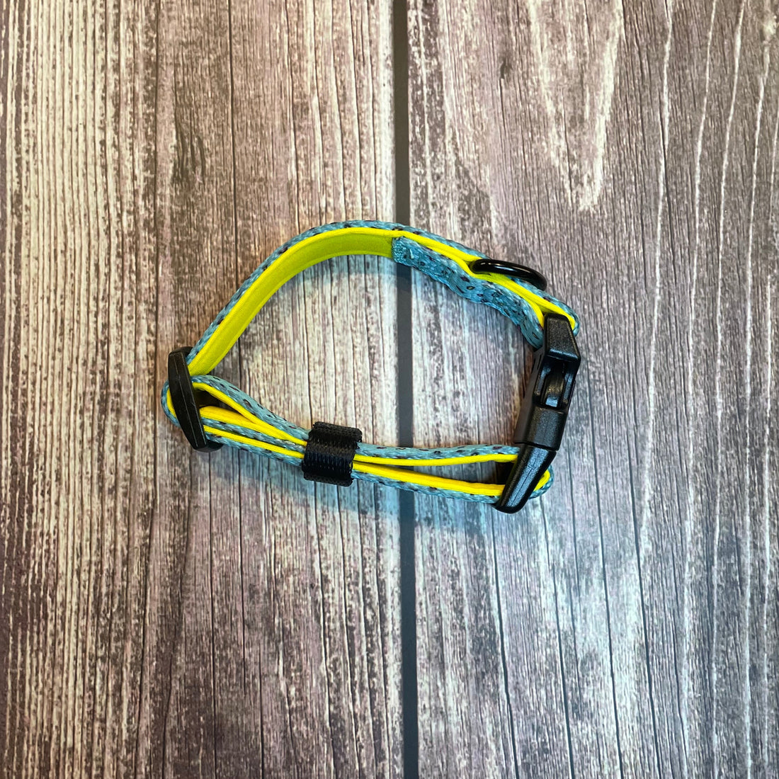 Sprinkles For Days Collar - pink or blue sprinkles dog collar | Shop Brit | UK Pet Shop | Pet Products