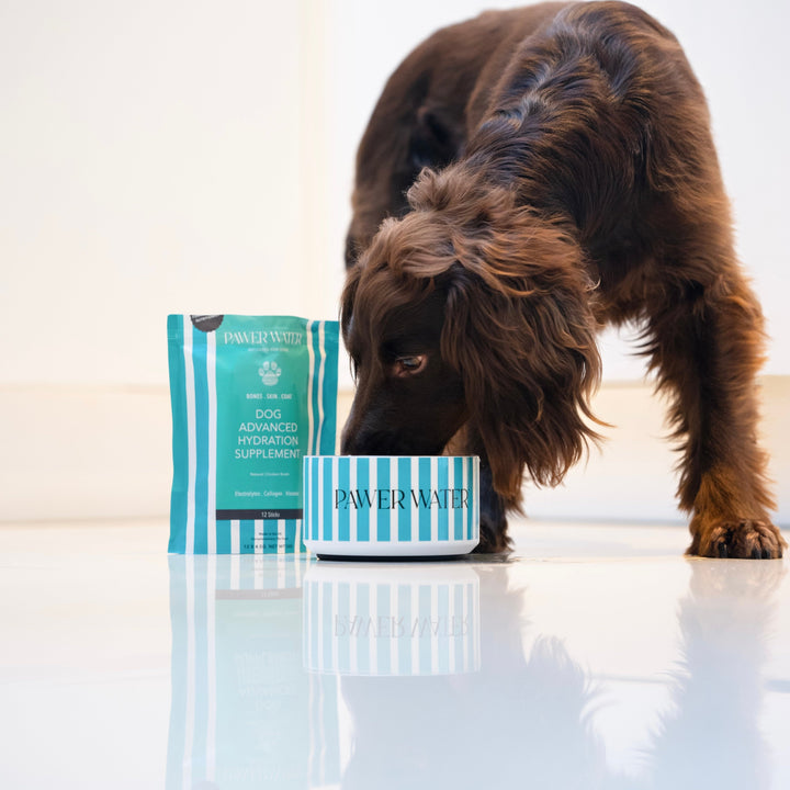 Pawer Water Joint Support (12 sticks Pouch) | Shop Brit | UK Pet Shop | 