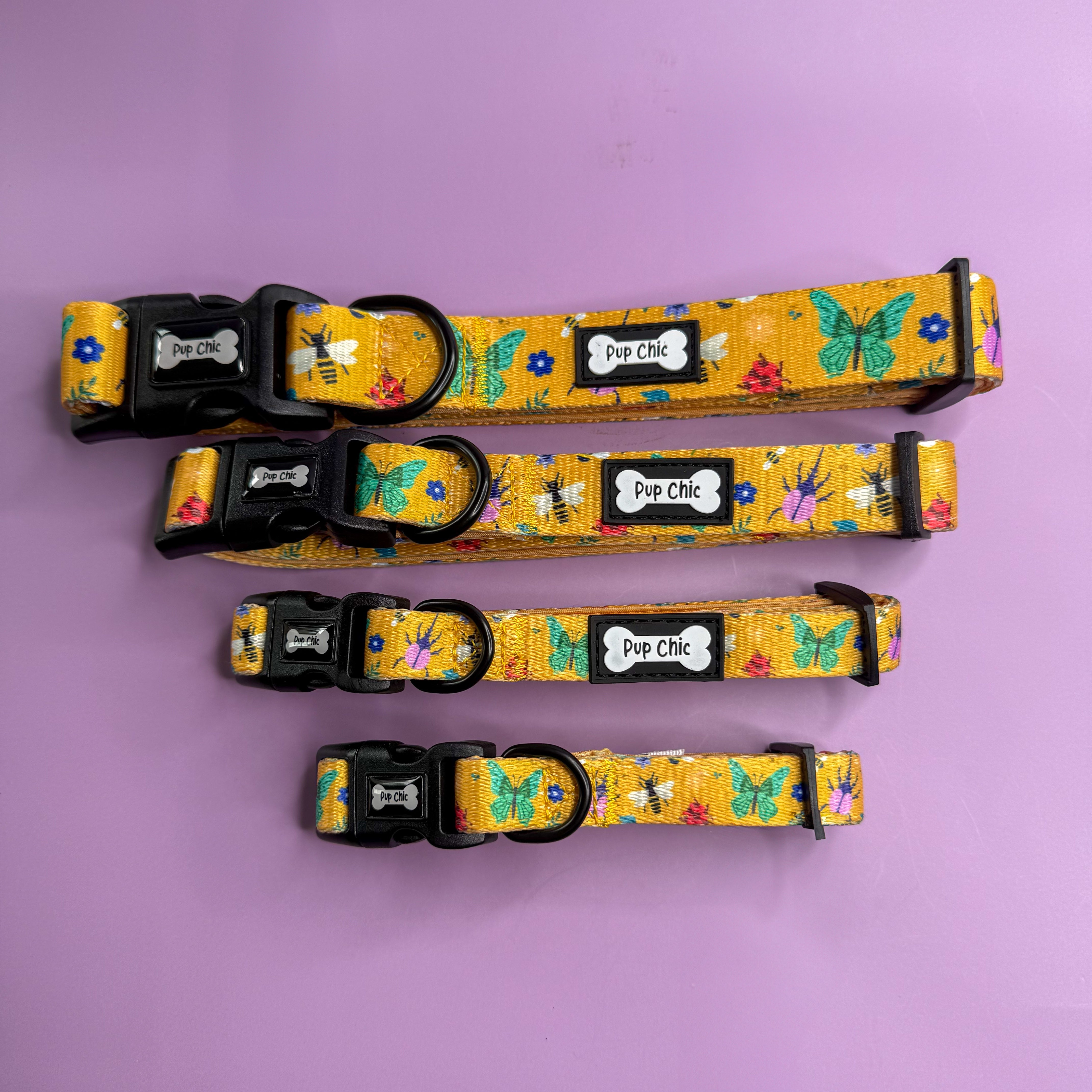 Summer Buzzin’ Dog Collar | Shop Brit | UK Pet Shop | 